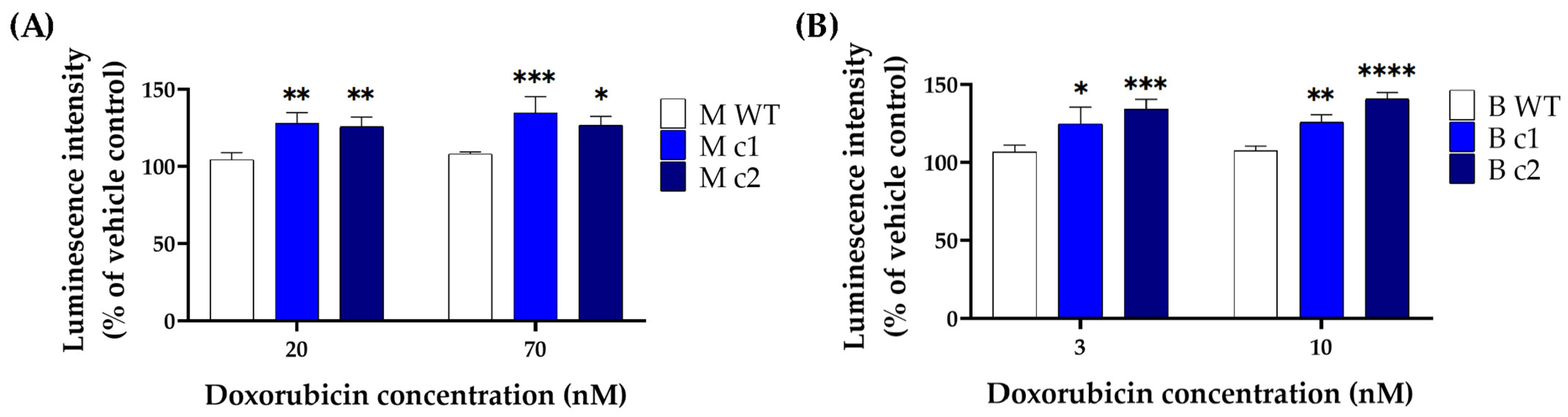 Cancers 16 01269 g004