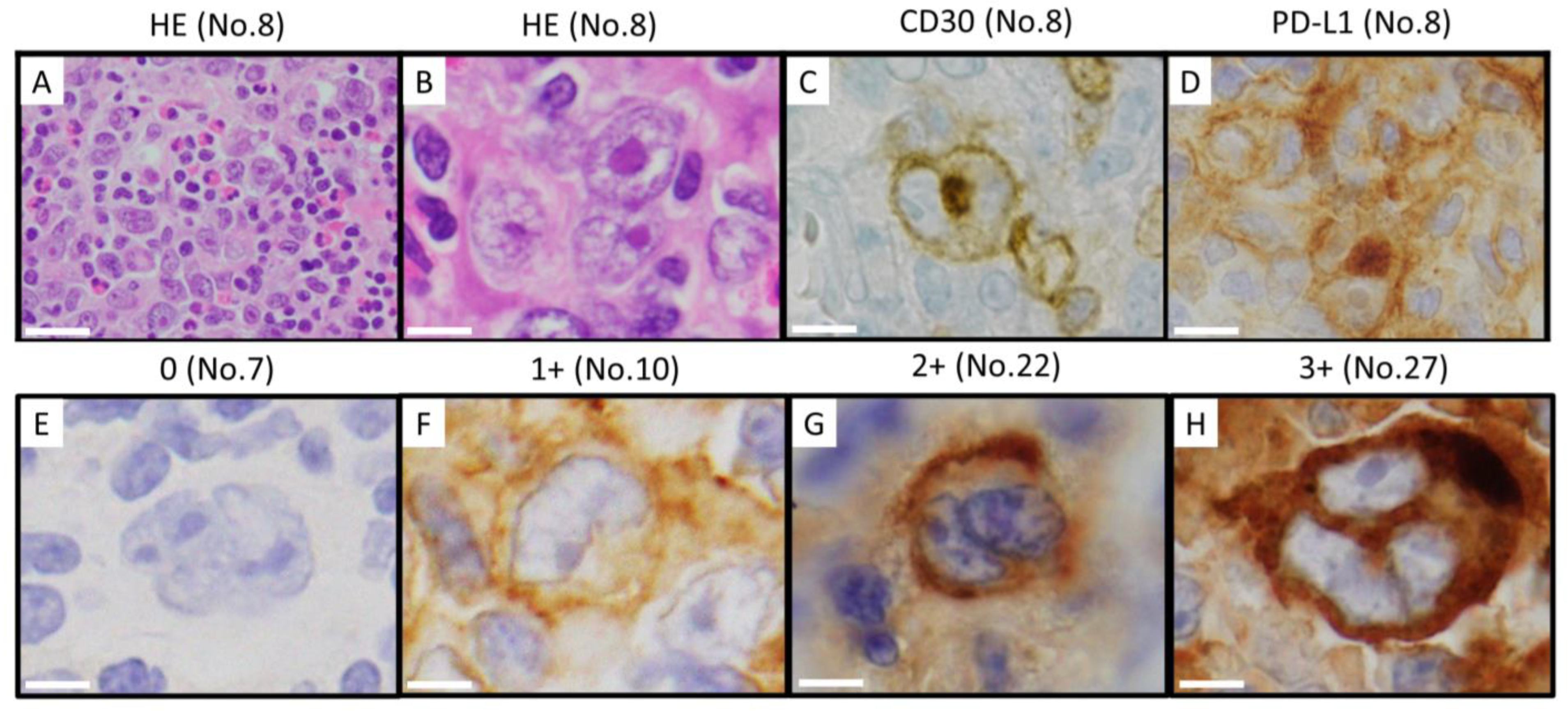 Cancers 16 01298 g001