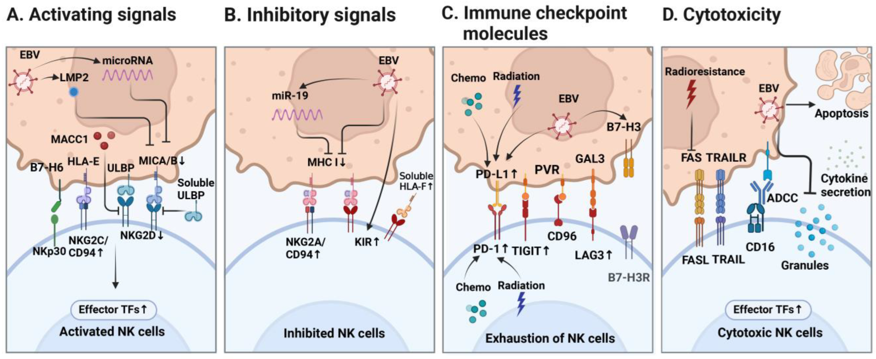 Cancers 16 01312 g002
