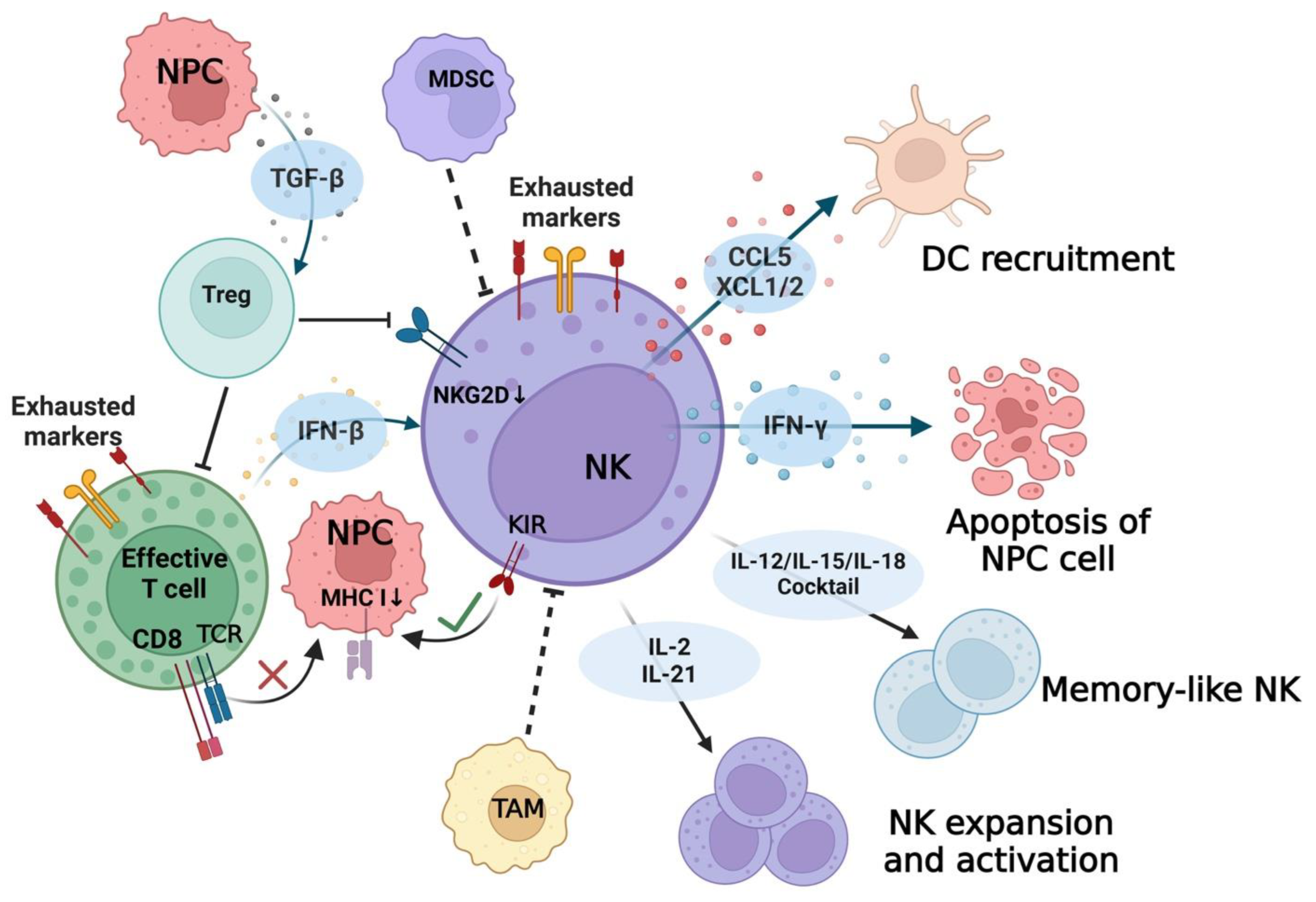 Cancers 16 01312 g003