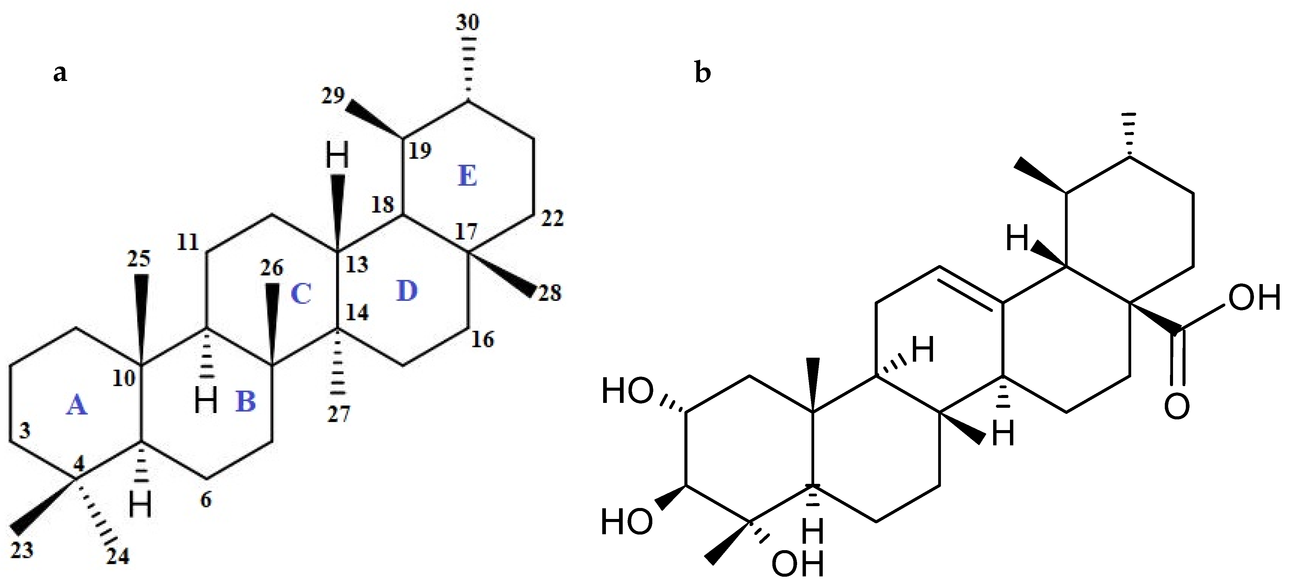 Cancers 16 01317 g002