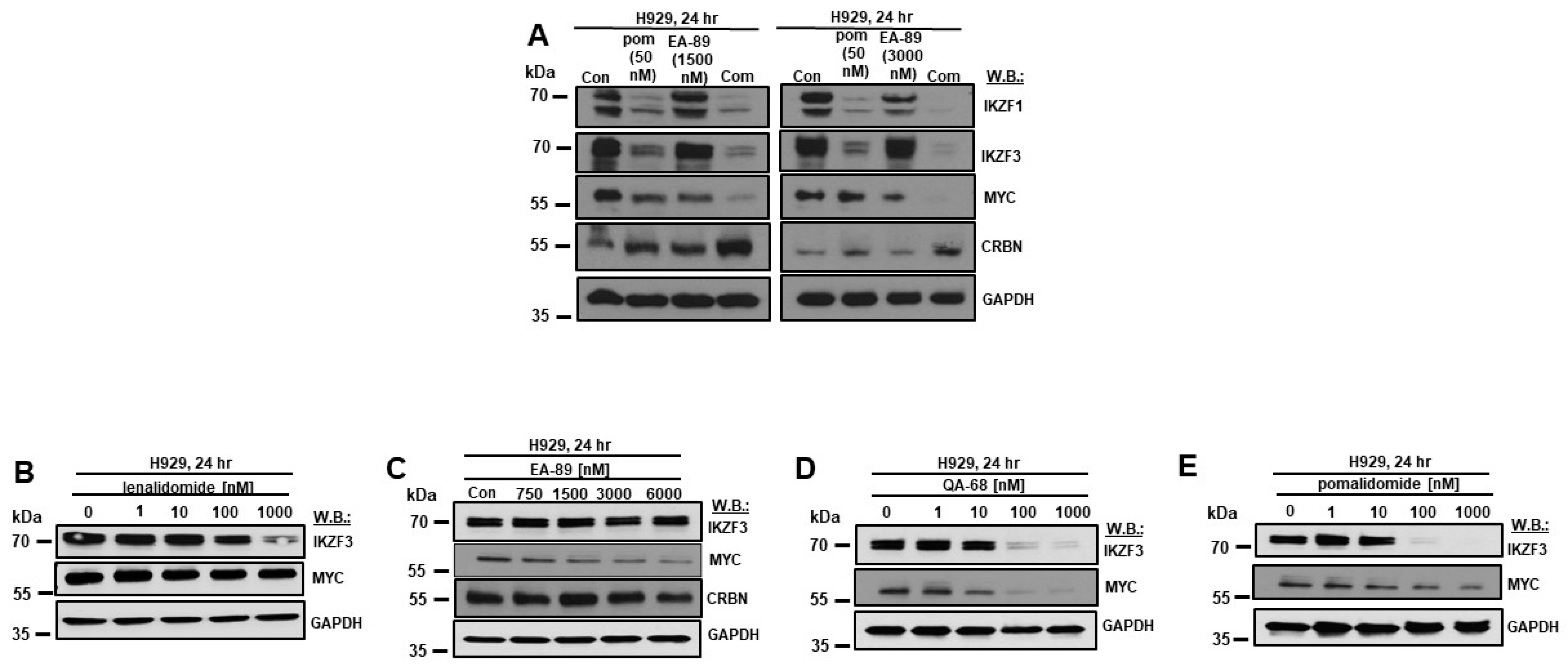 Cancers 16 01319 g002