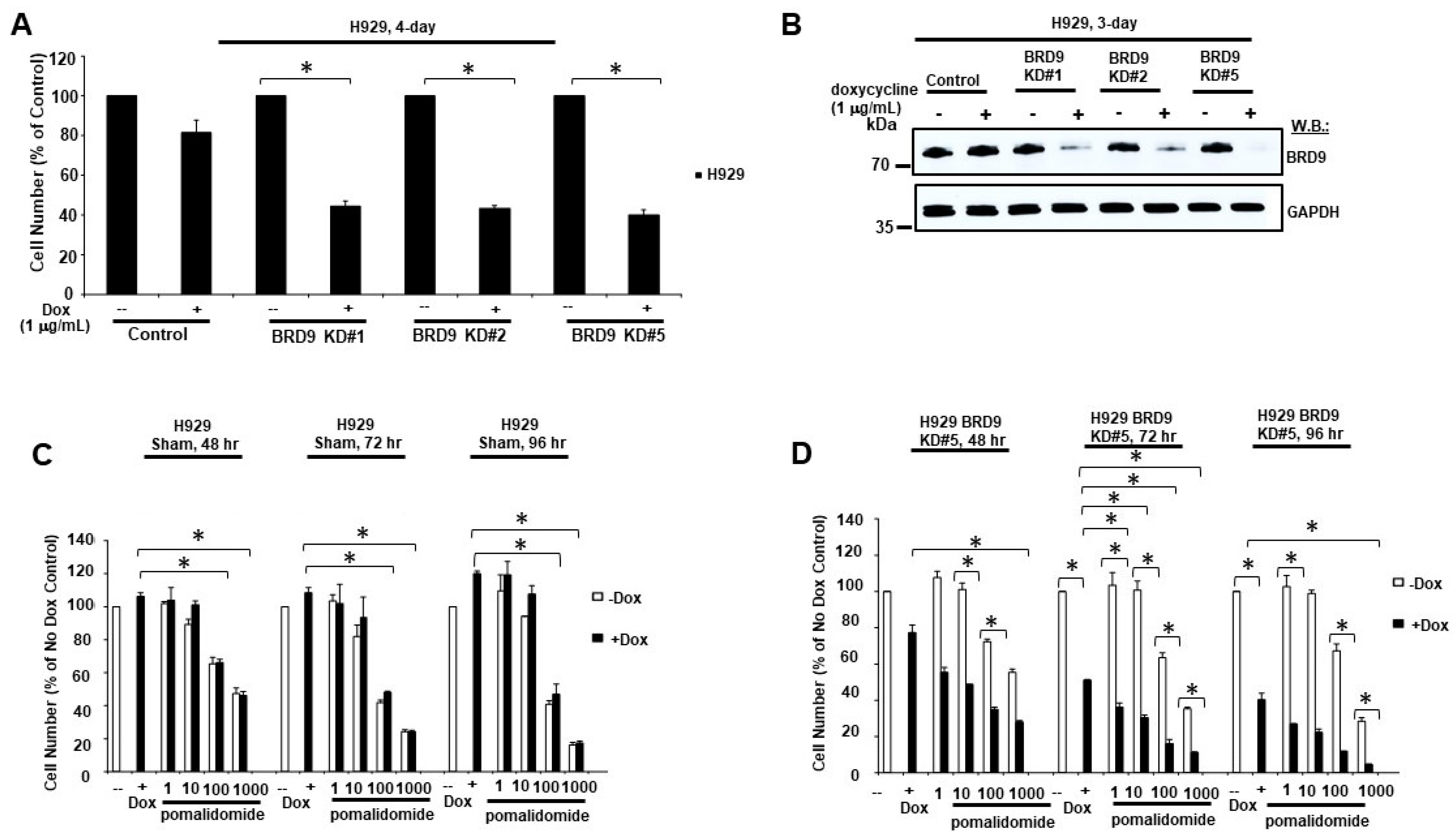 Cancers 16 01319 g003
