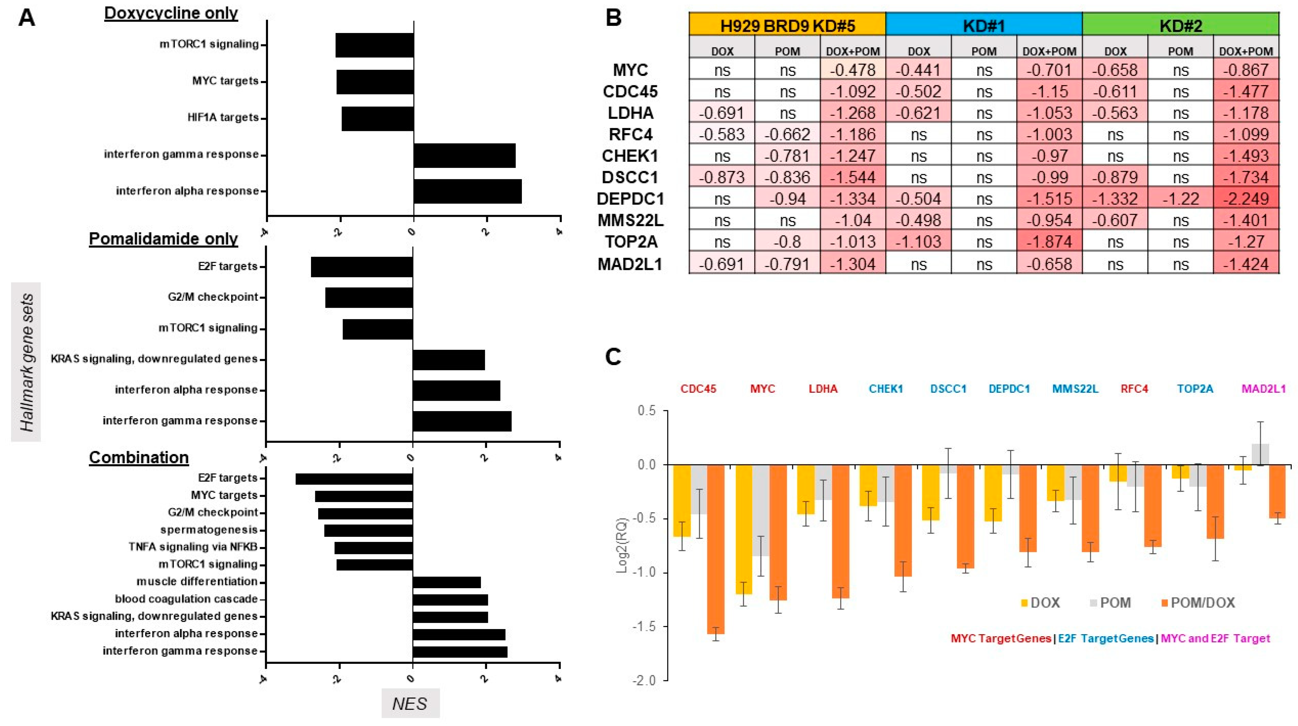 Cancers 16 01319 g004