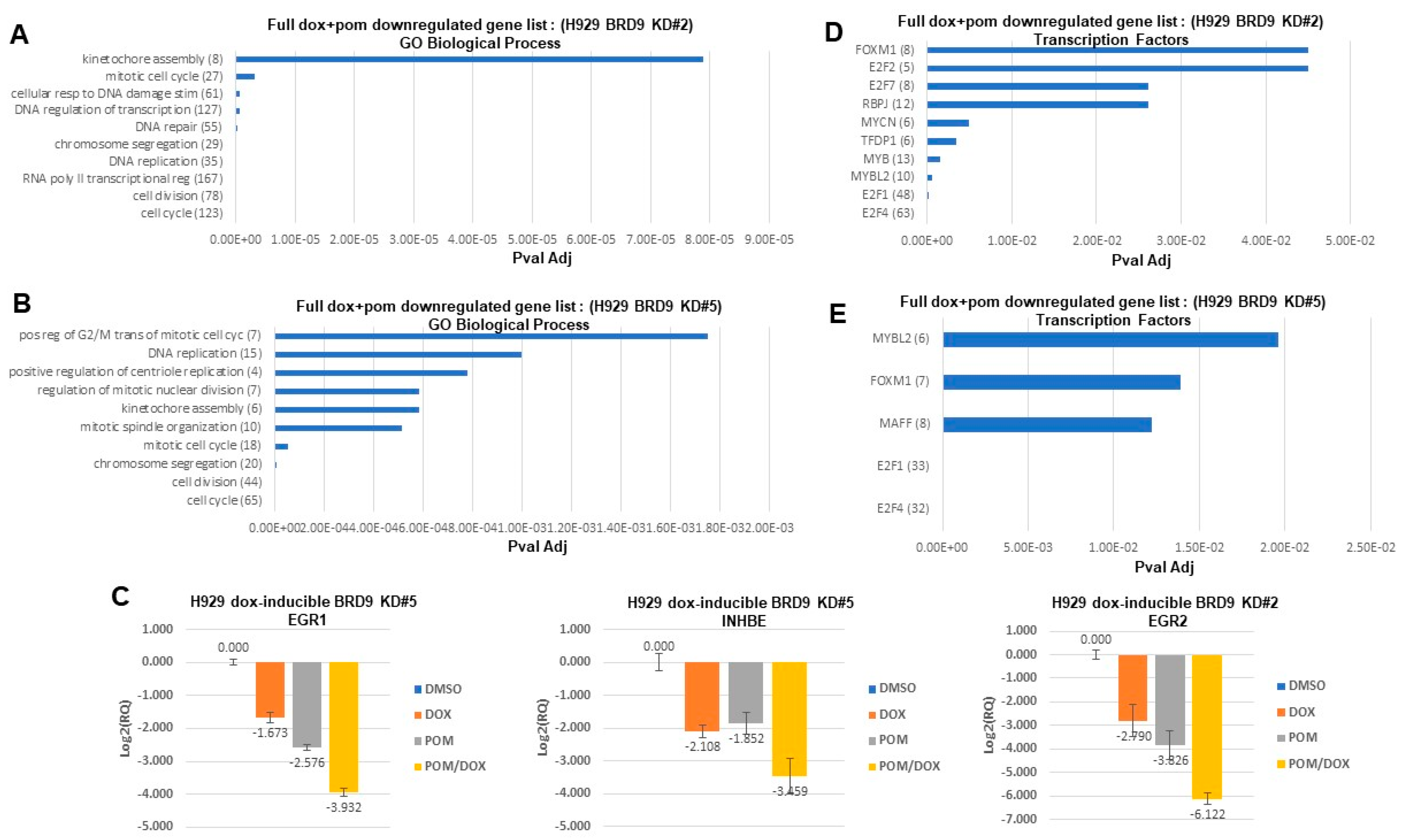 Cancers 16 01319 g005