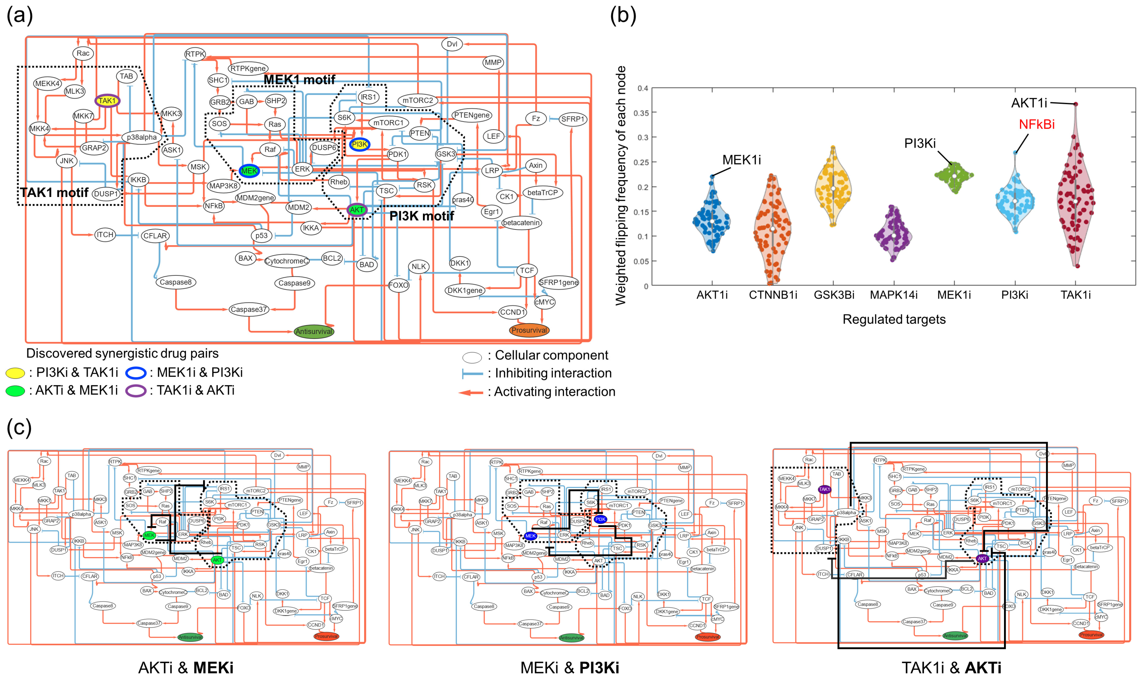 Cancers 16 01337 g003