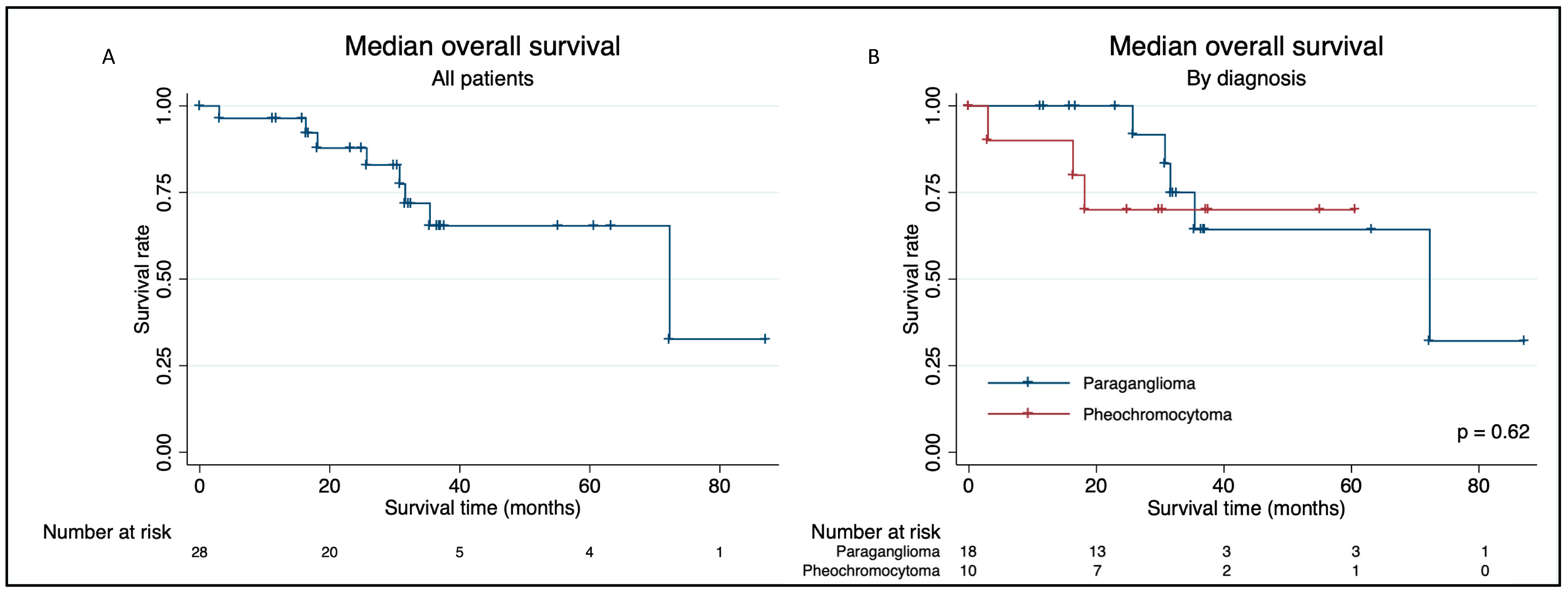 Cancers 16 01349 g001