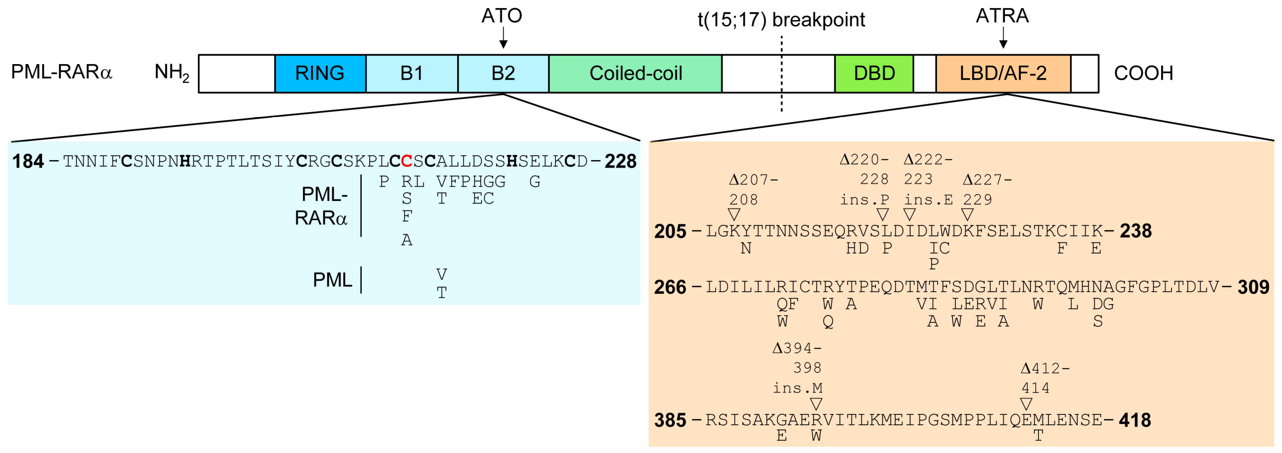 Cancers 16 01351 g002