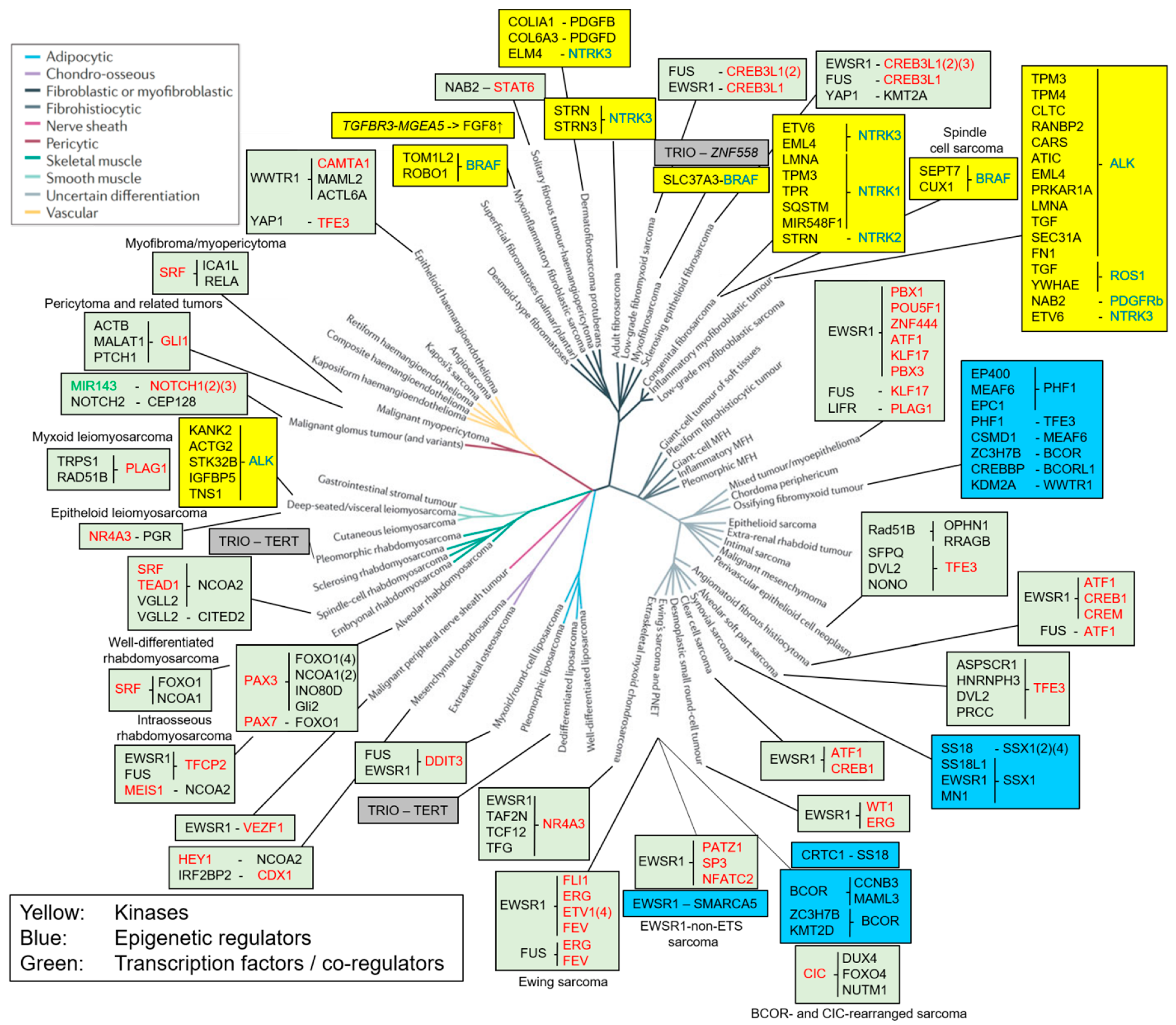 Cancers 16 01355 g001