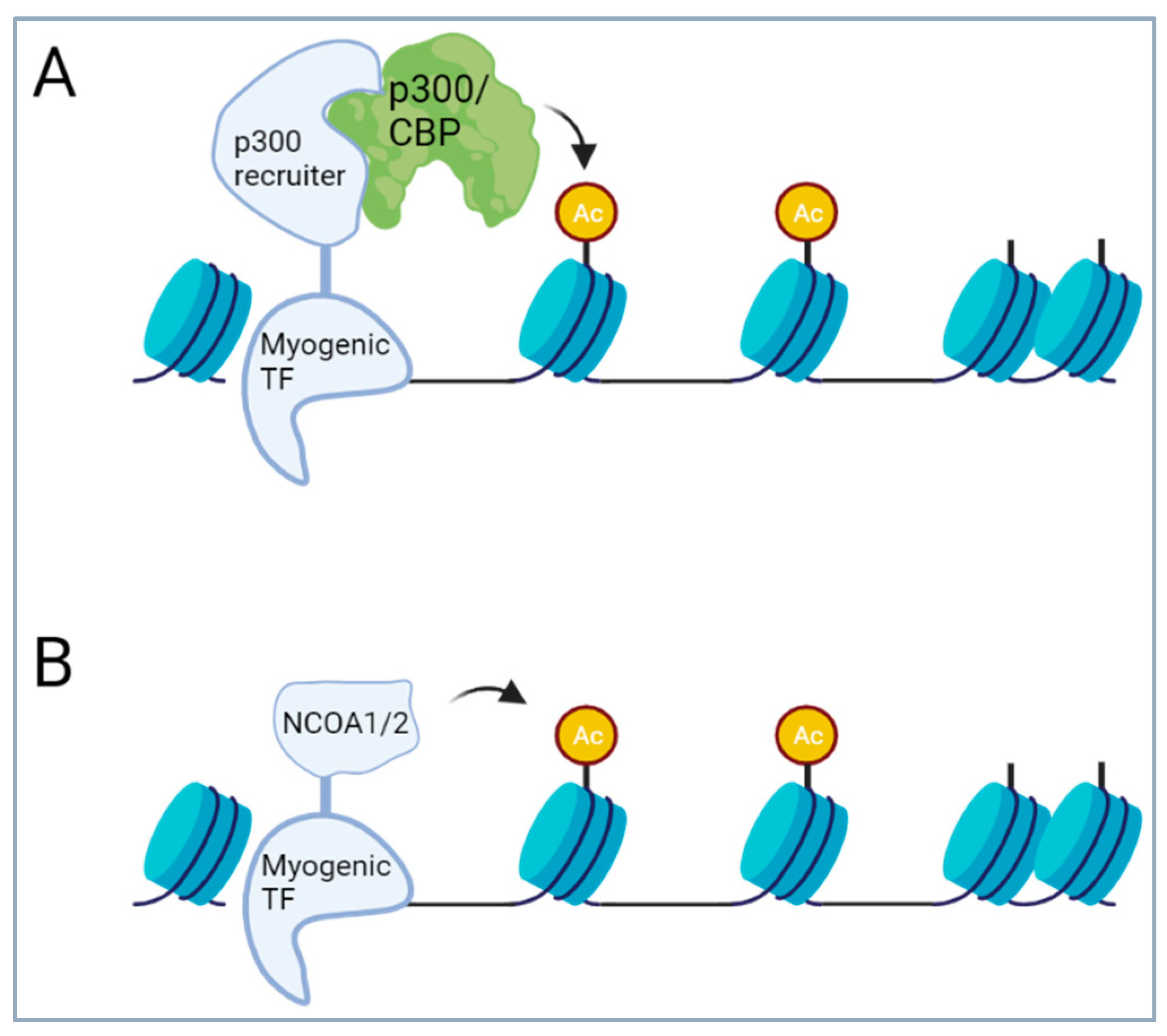 Cancers 16 01355 g003