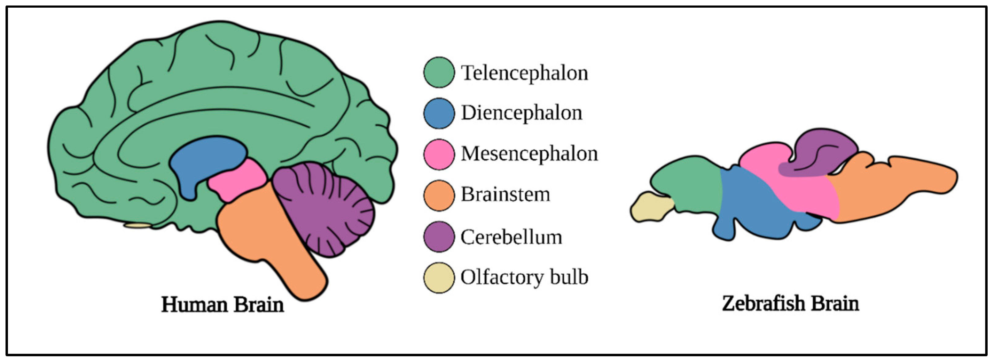 Cancers 16 01361 g002