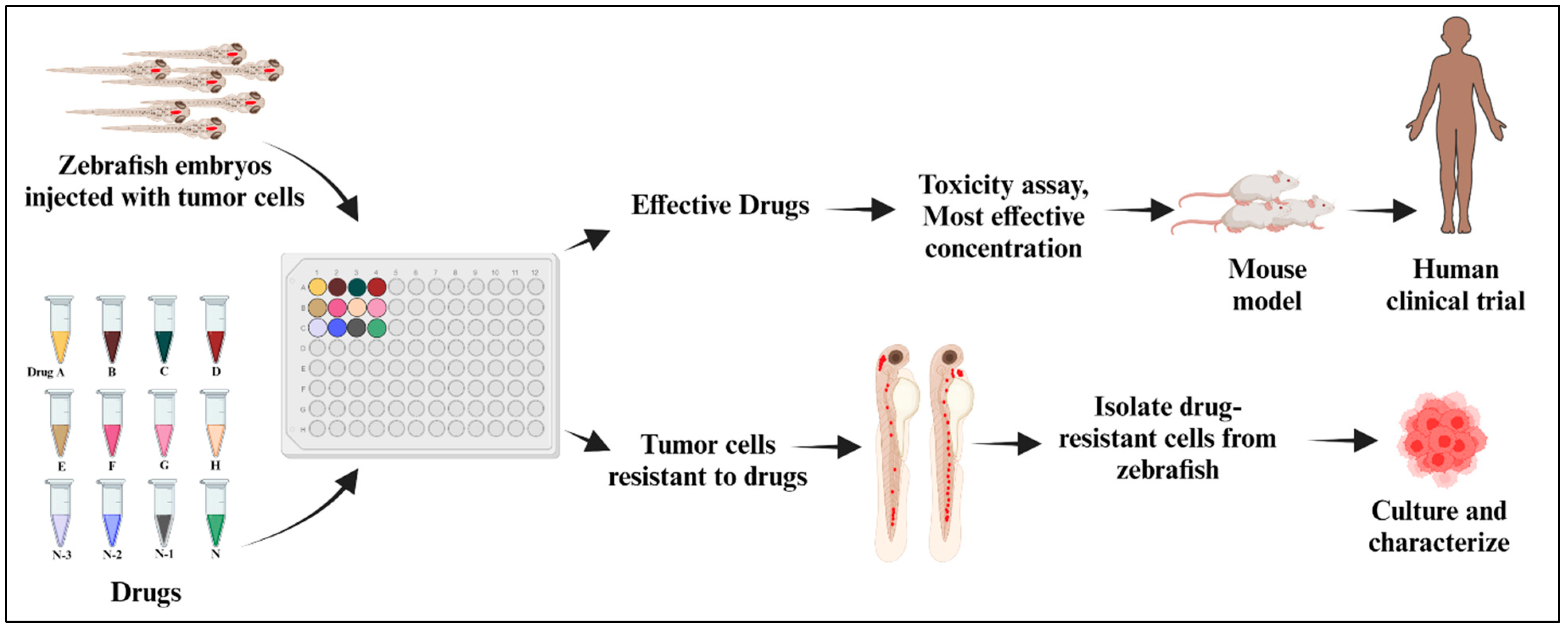 Cancers 16 01361 g003