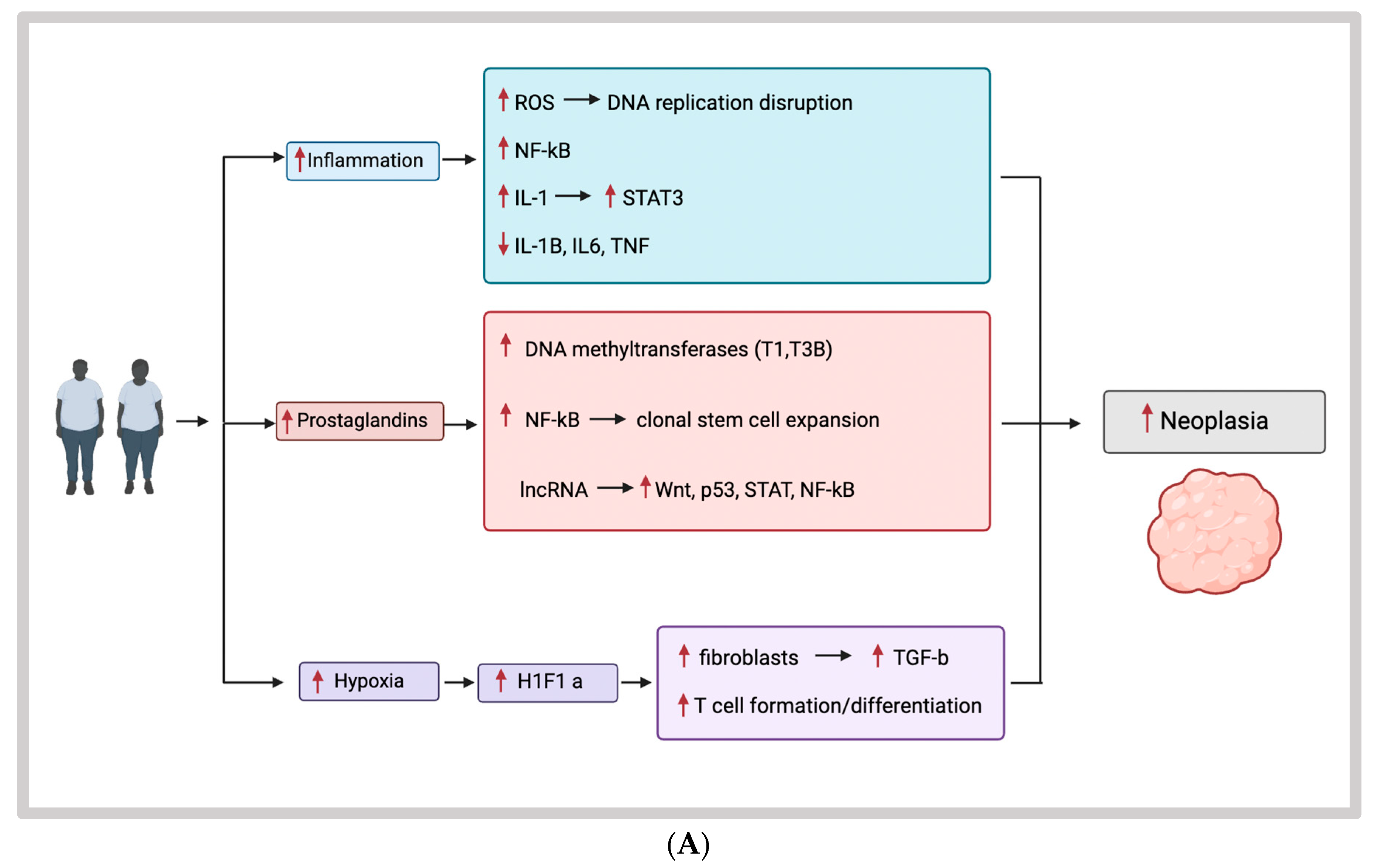 Cancers 16 01403 g002a