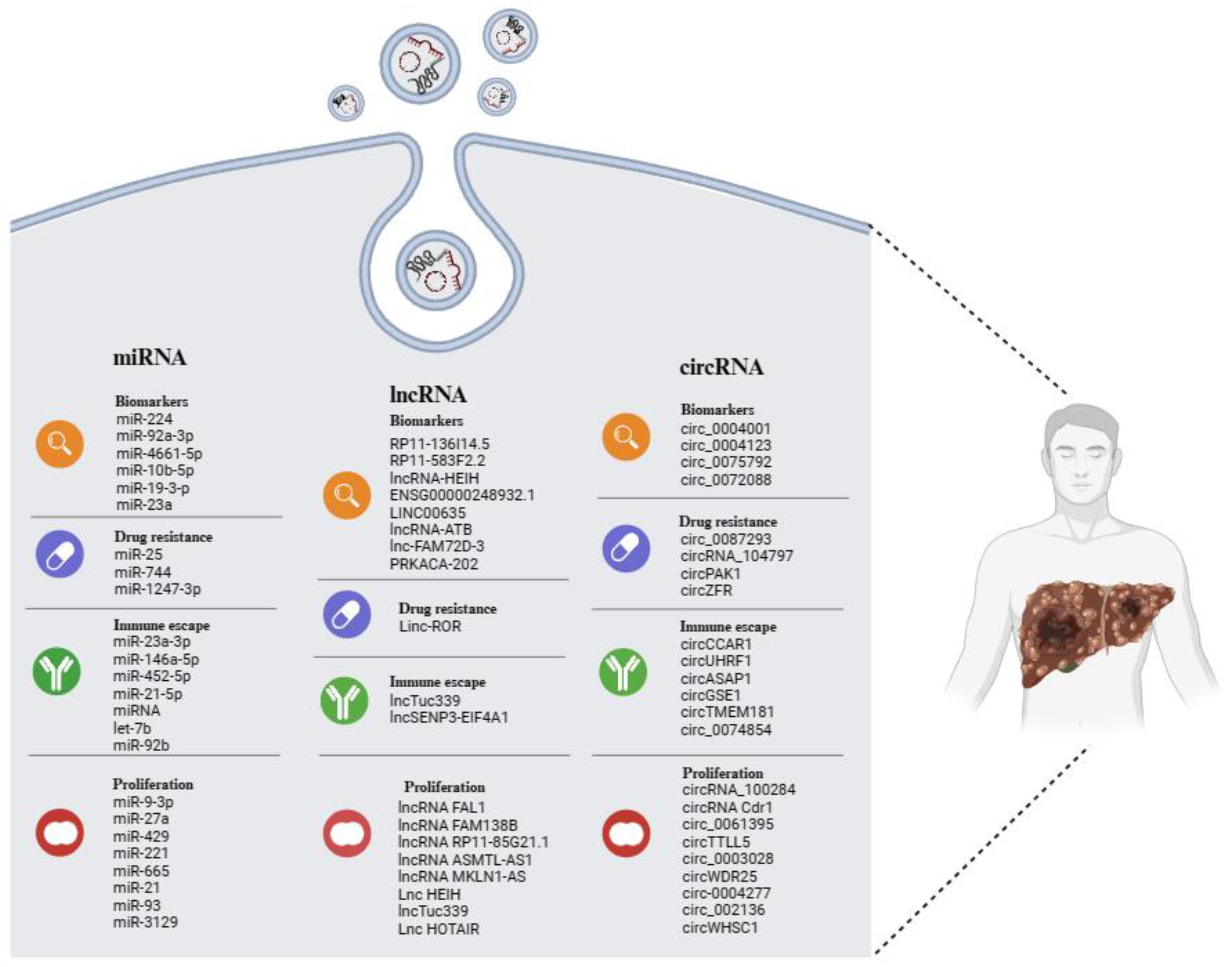 Cancers 16 01415 g002