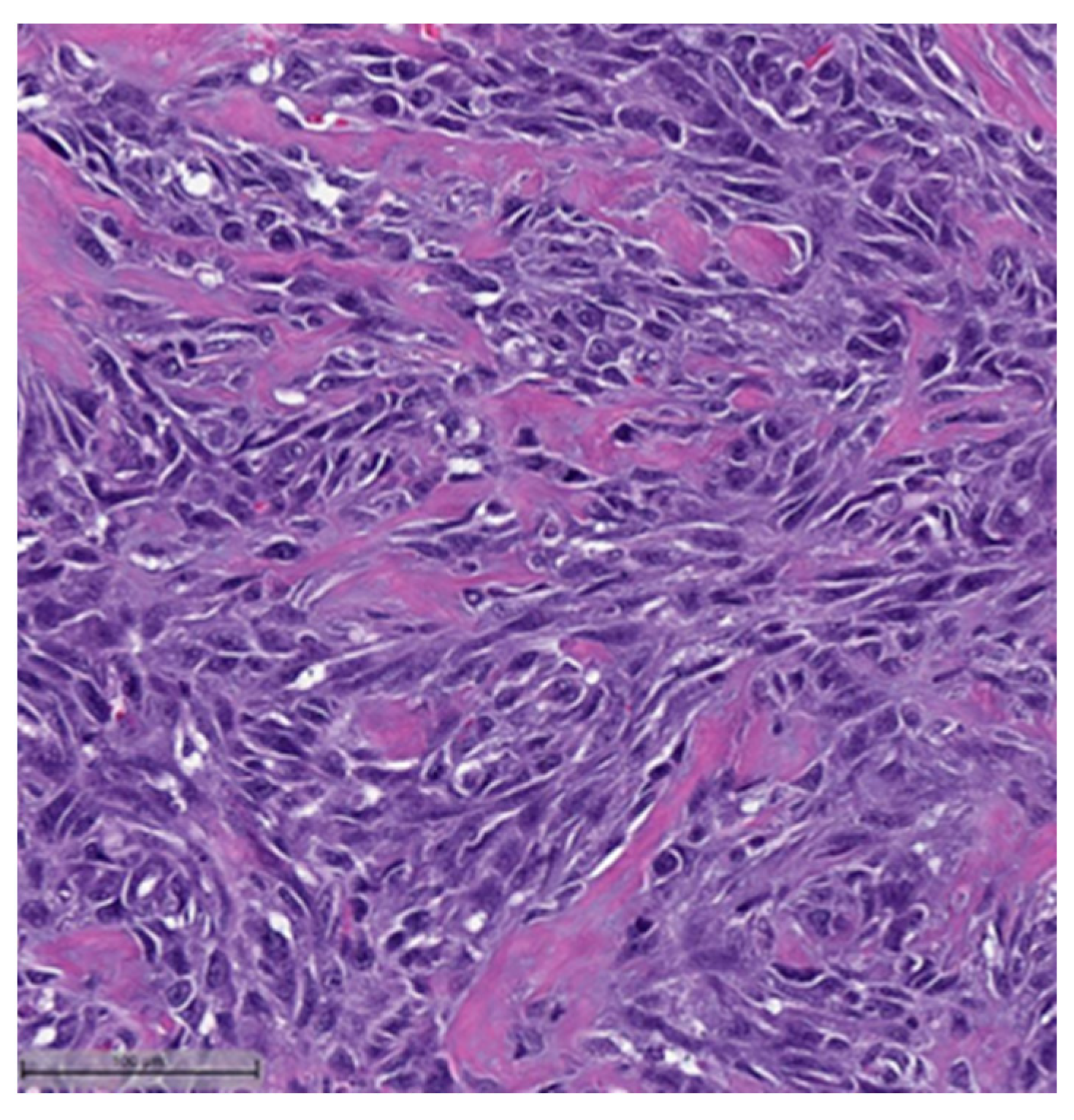 Cancers 16 01433 g003