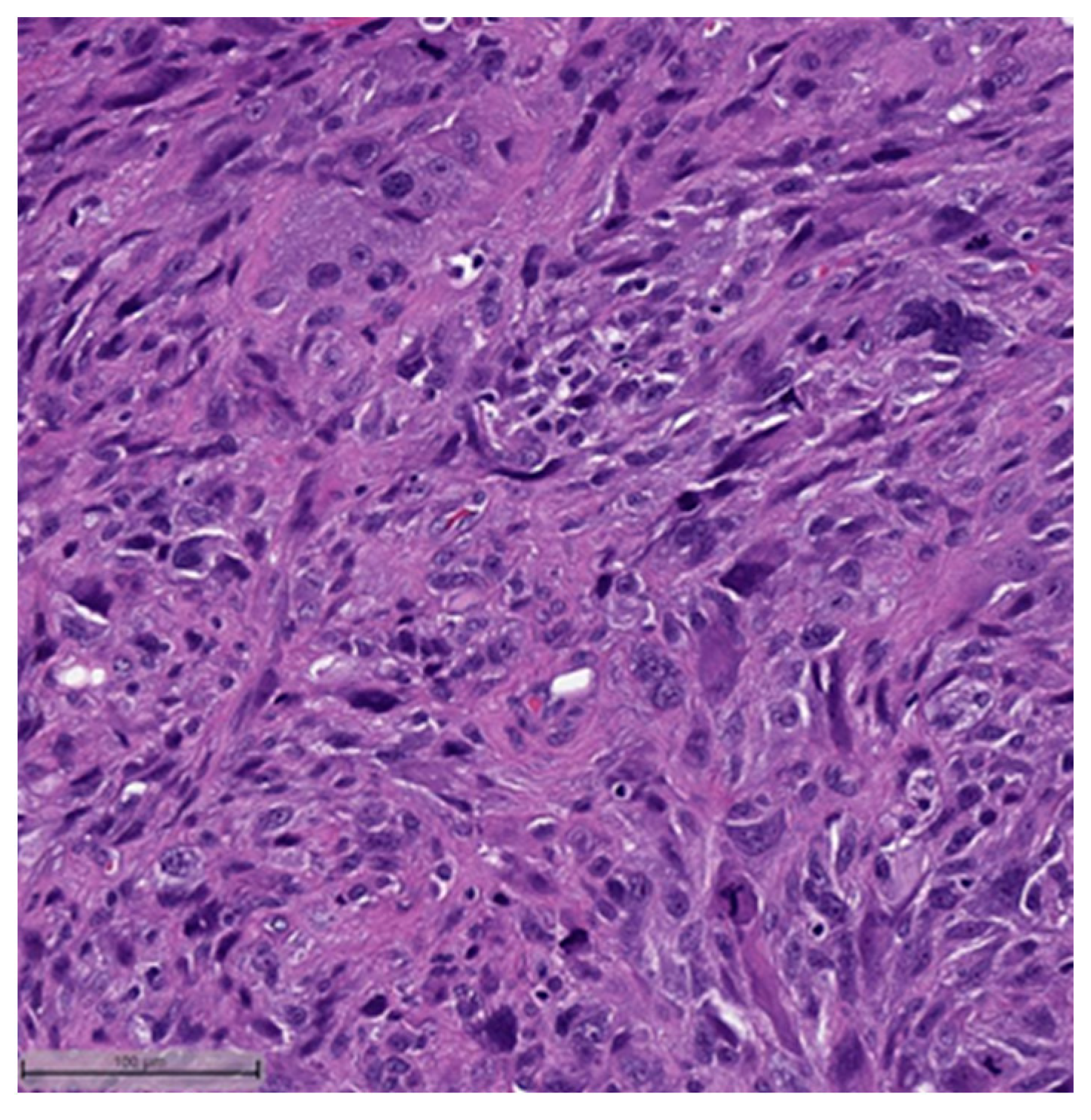 Cancers 16 01433 g004