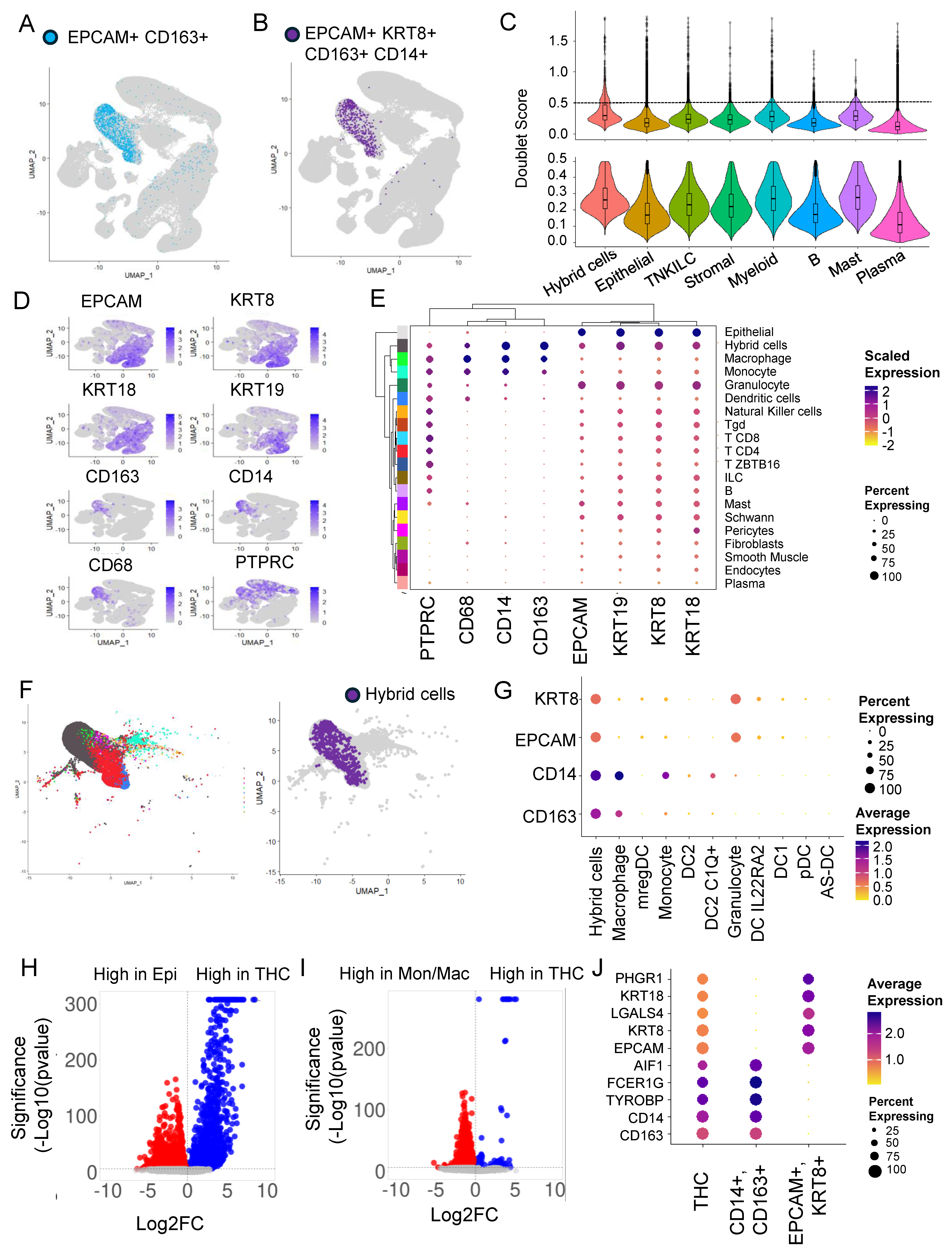 Cancers 16 01444 g001