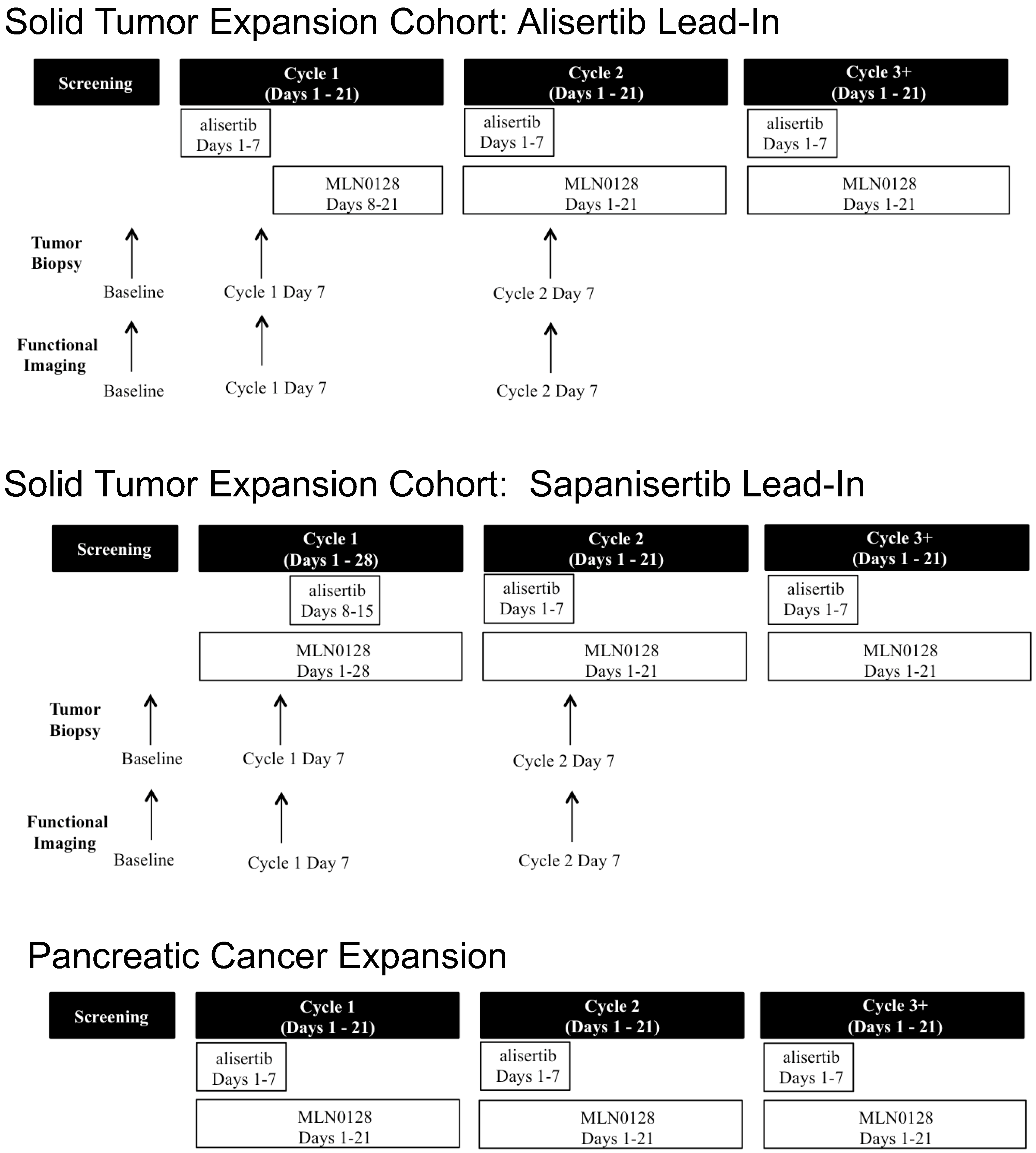 Cancers 16 01456 g001