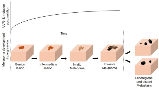 Cancers 16 01461 g001