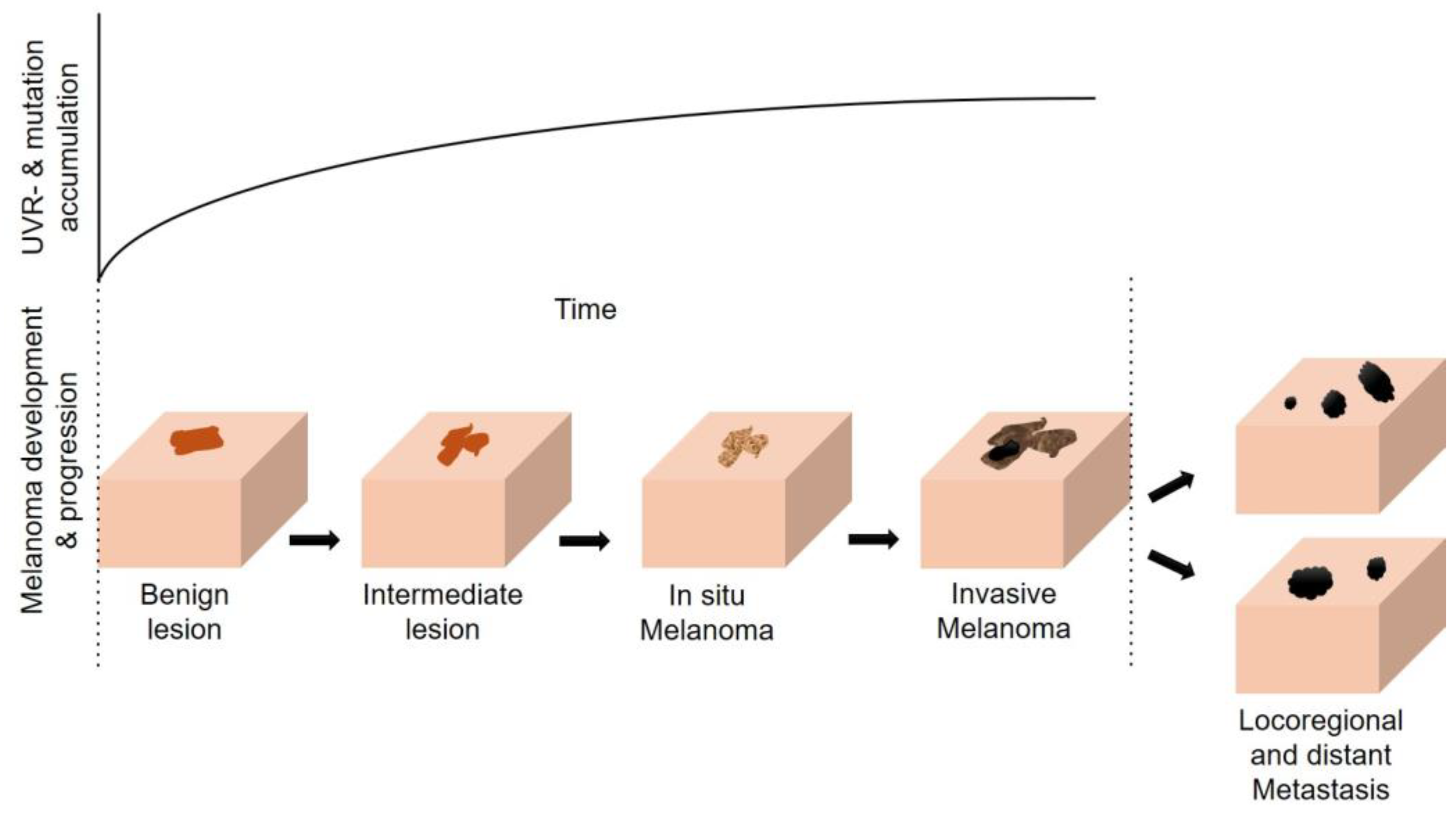 Cancers 16 01461 g001
