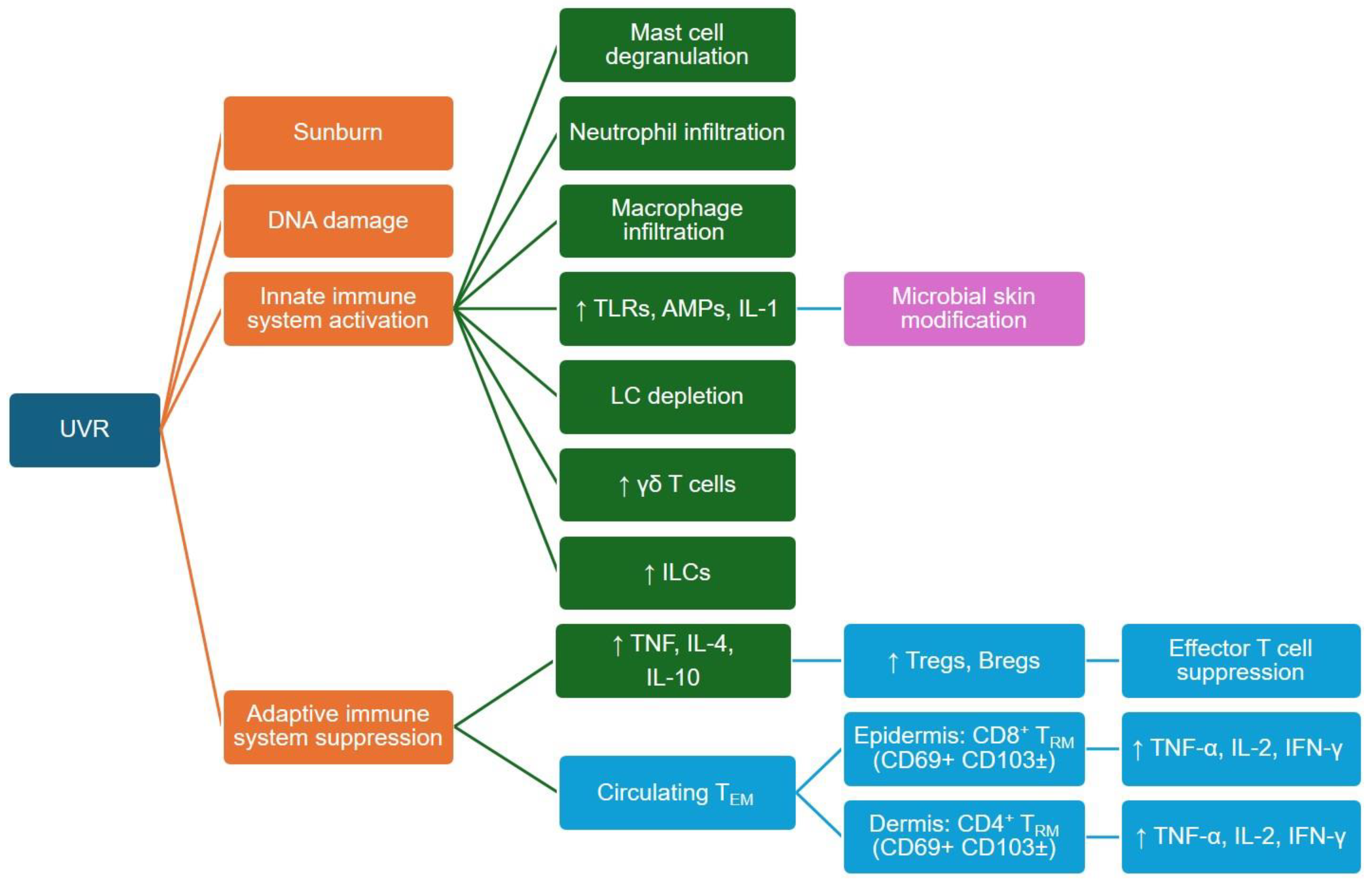 Cancers 16 01461 g002