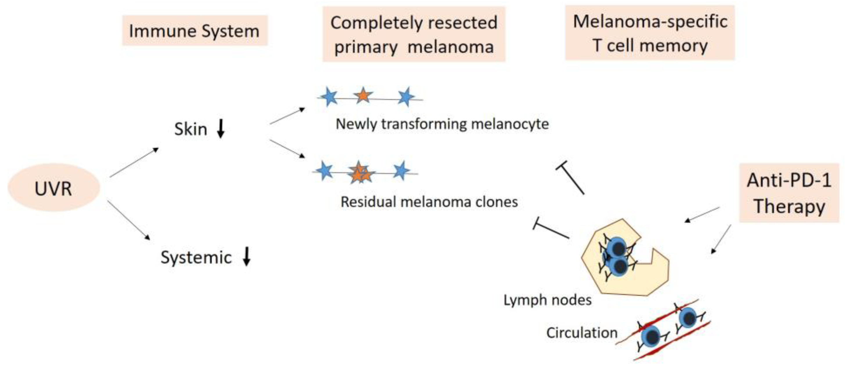 Cancers 16 01461 g004