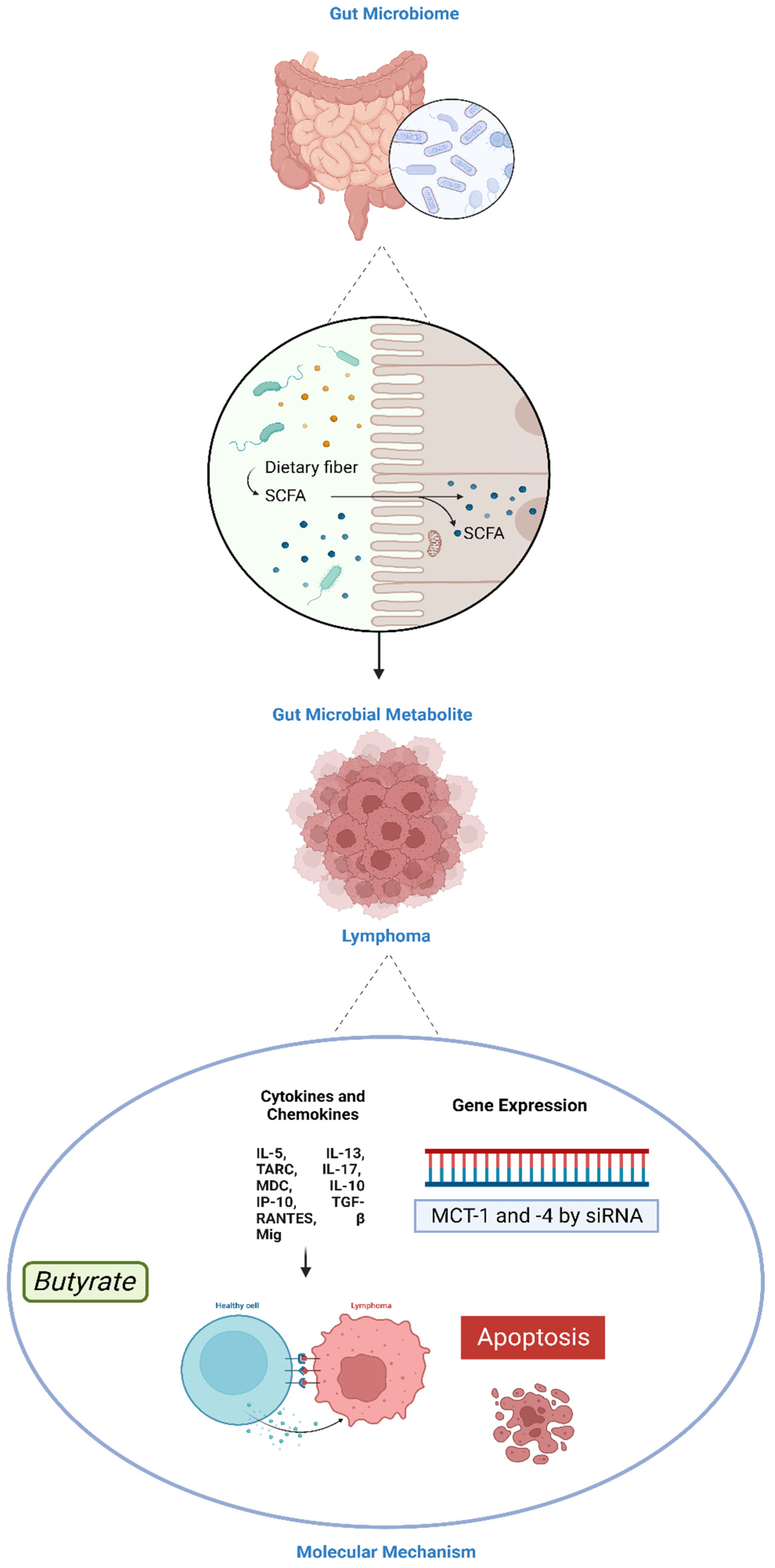 Cancers 16 01464 g002