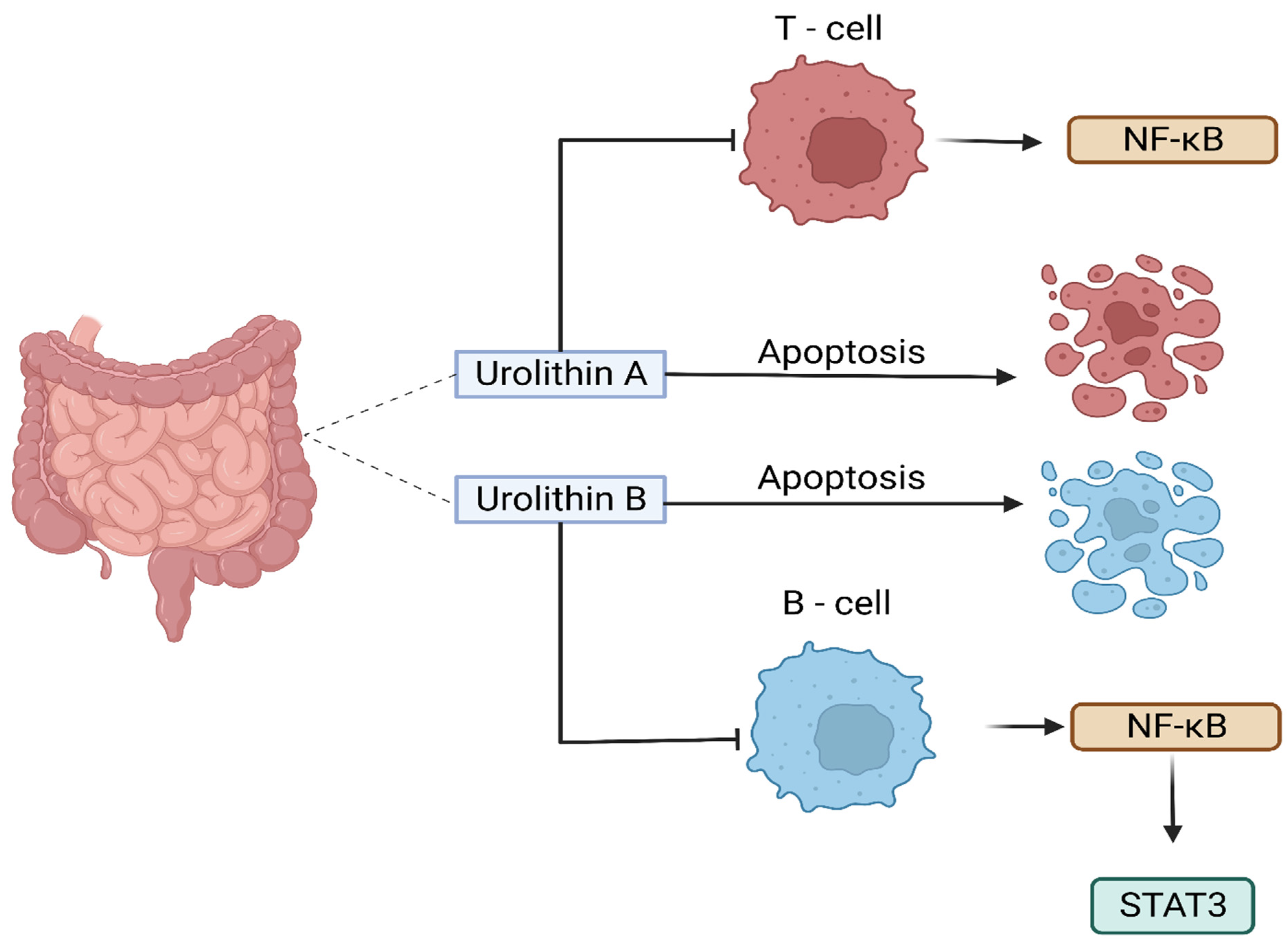 Cancers 16 01464 g003