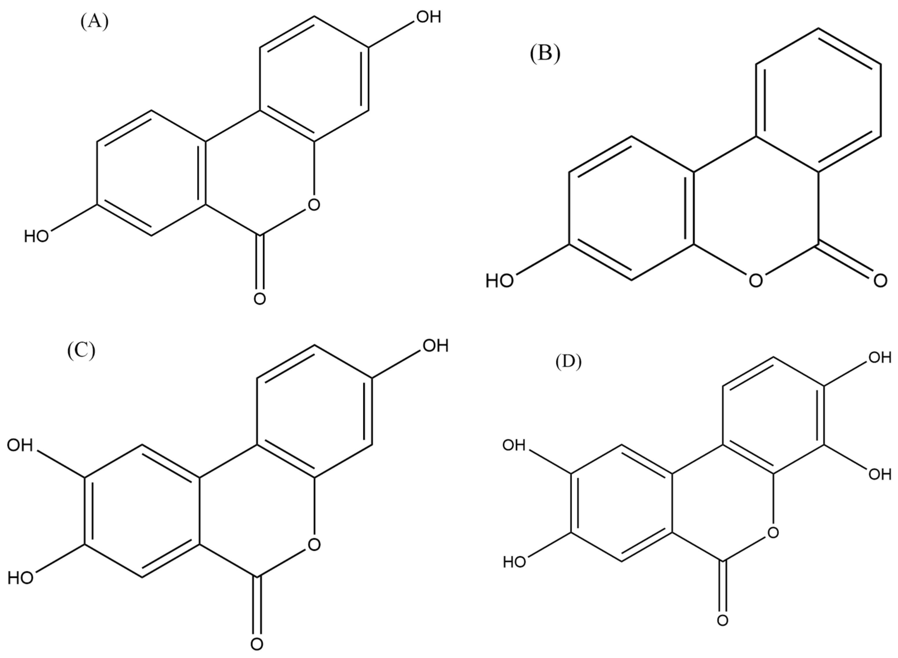 Cancers 16 01464 g004