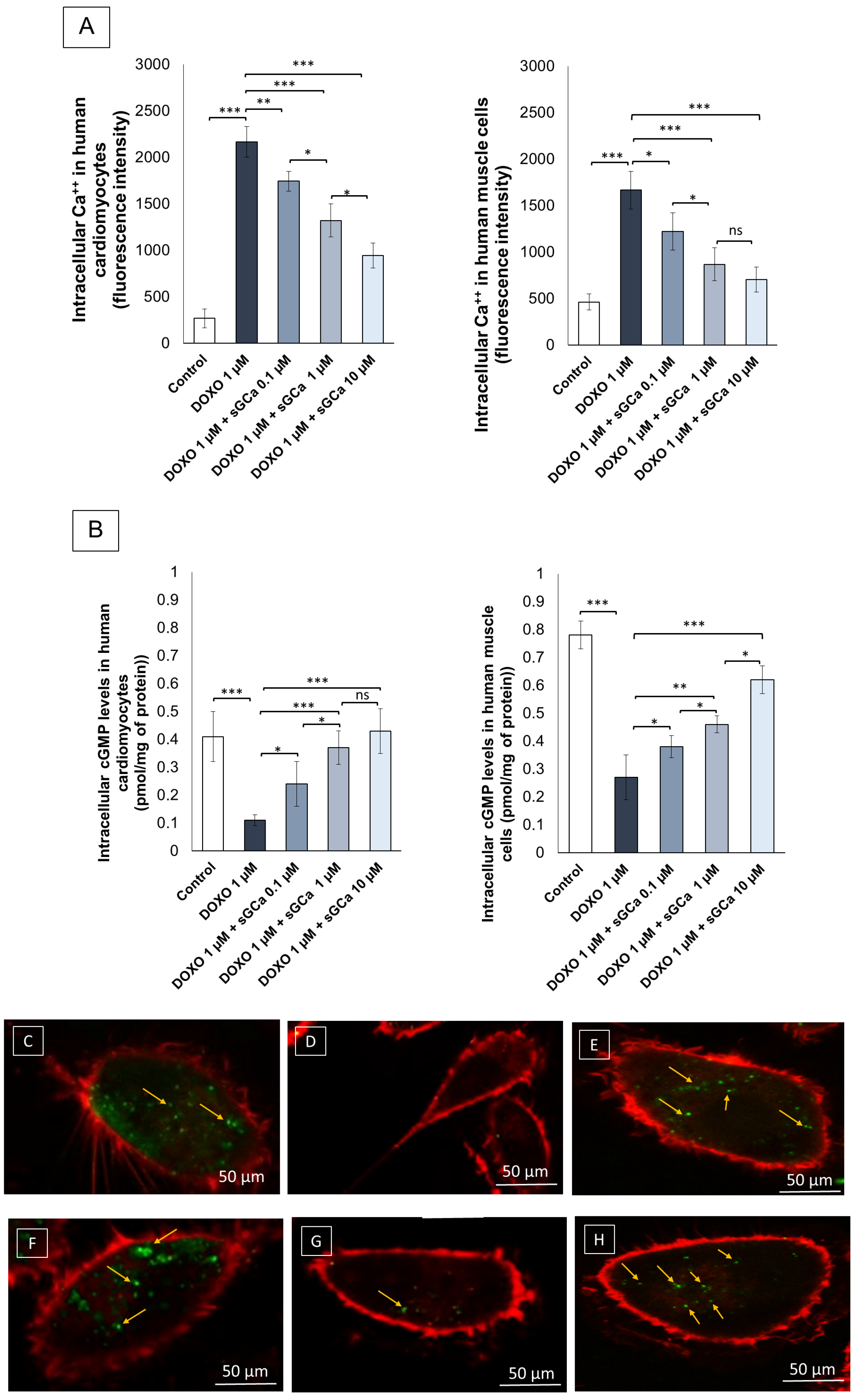 Cancers 16 01487 g003