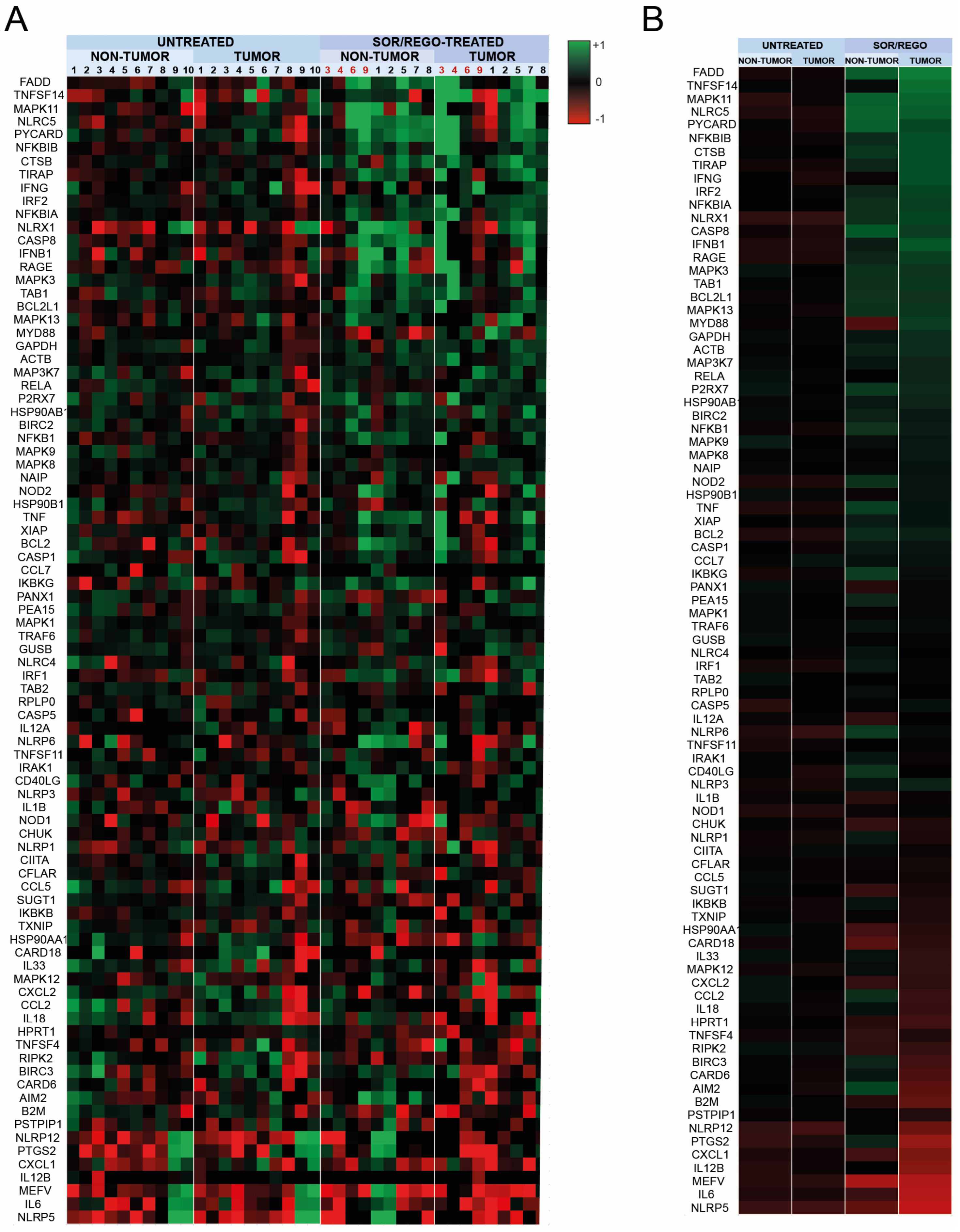 Cancers 16 01491 g003