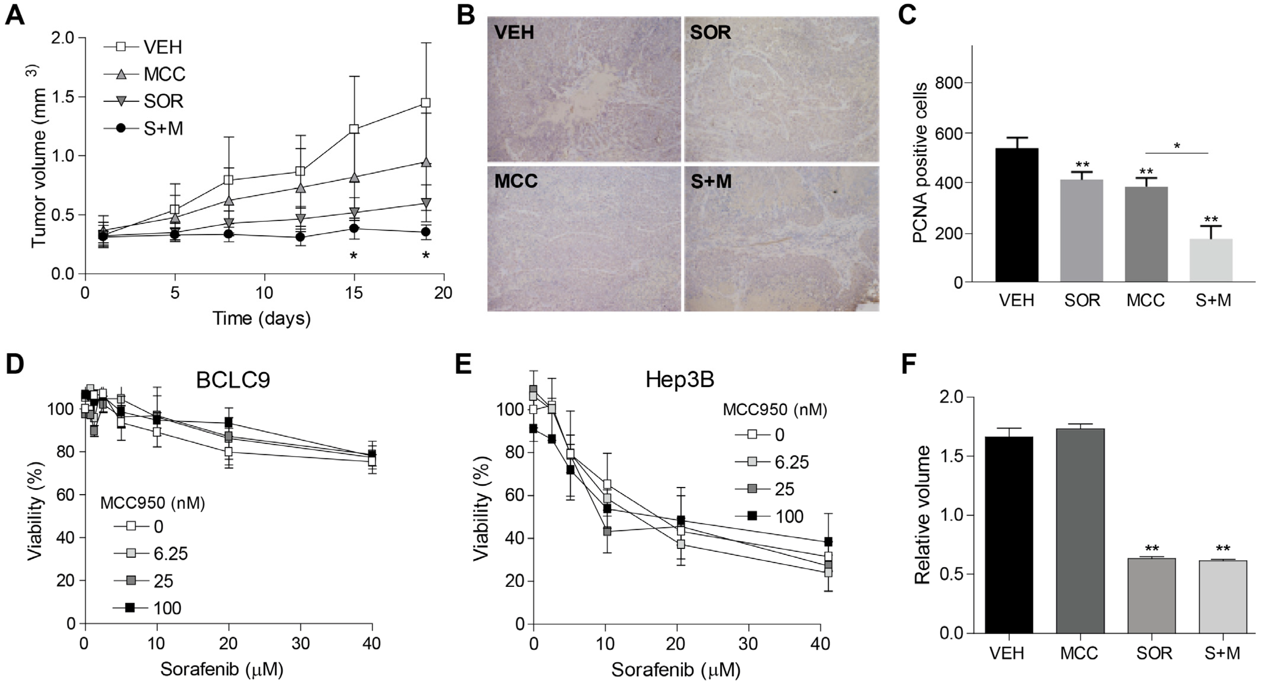Cancers 16 01491 g004