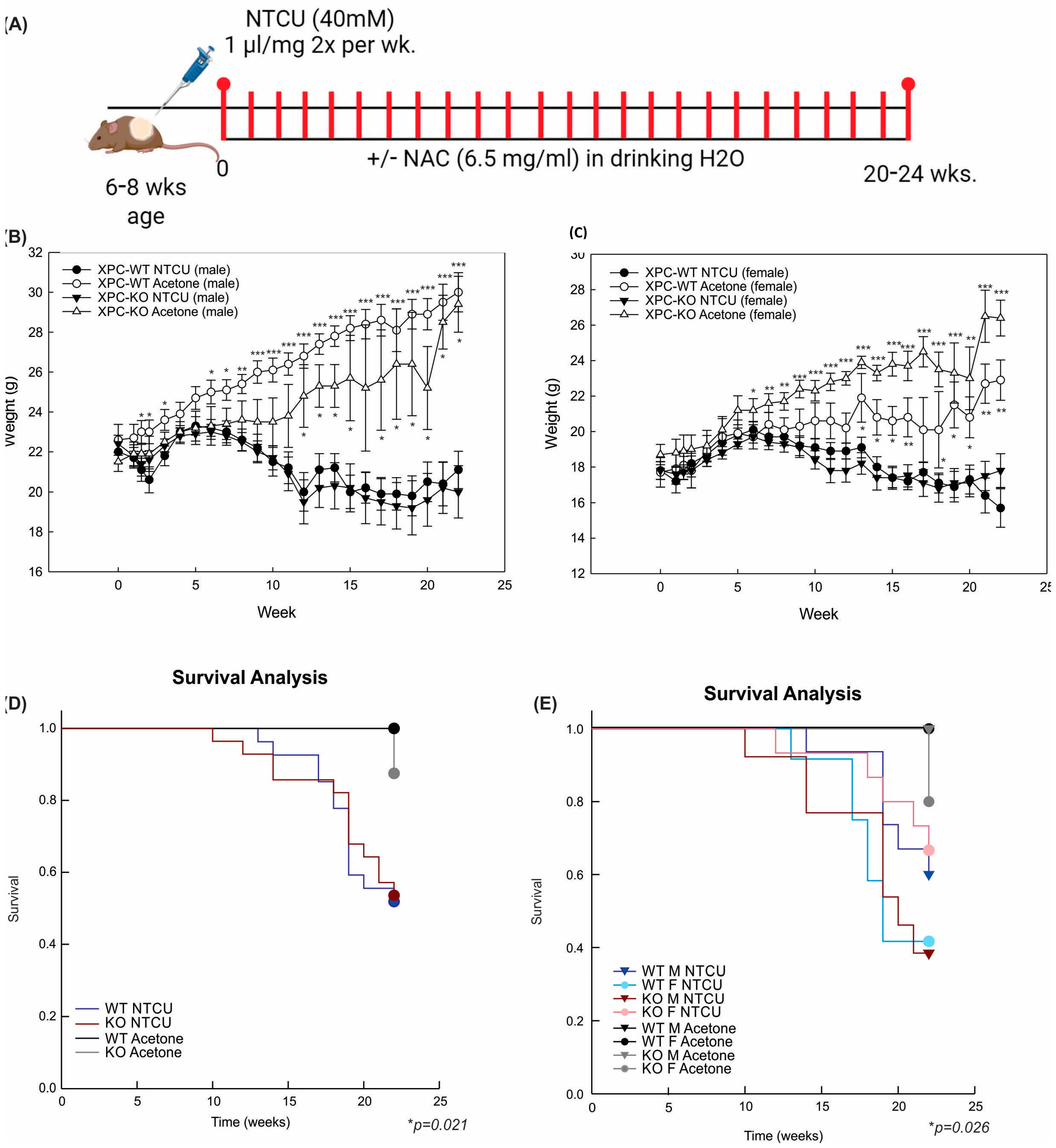 Cancers 16 01495 g001