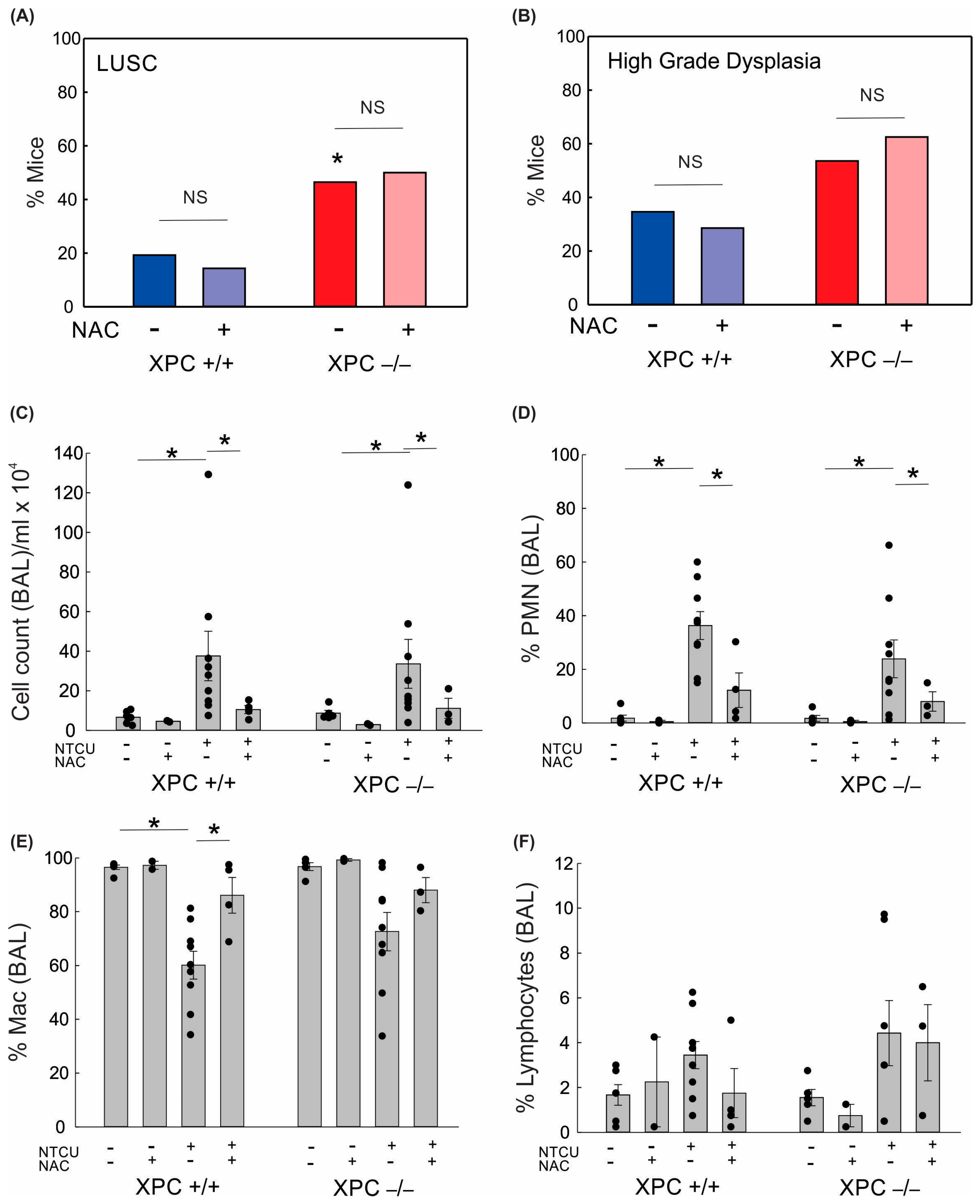 Cancers 16 01495 g003