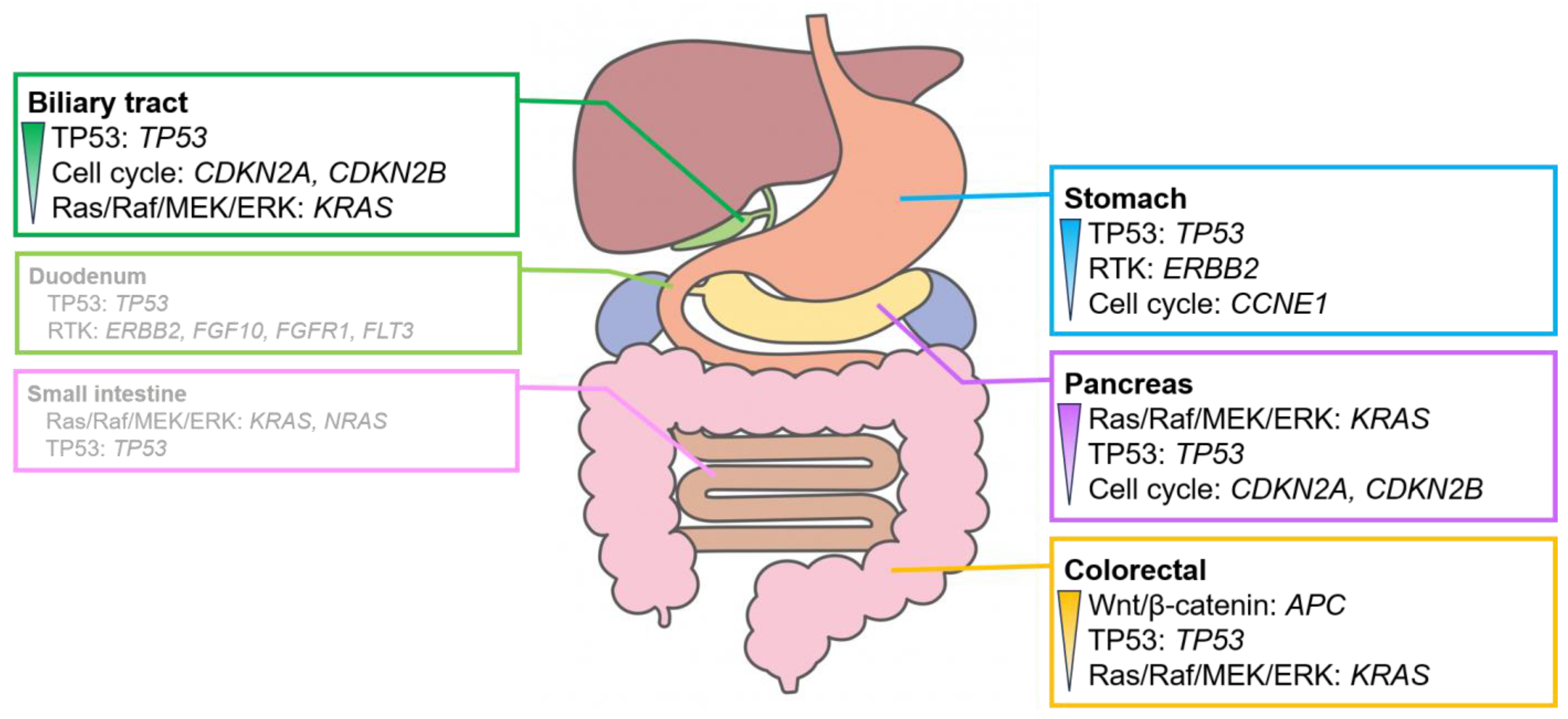 Cancers 16 01504 g004