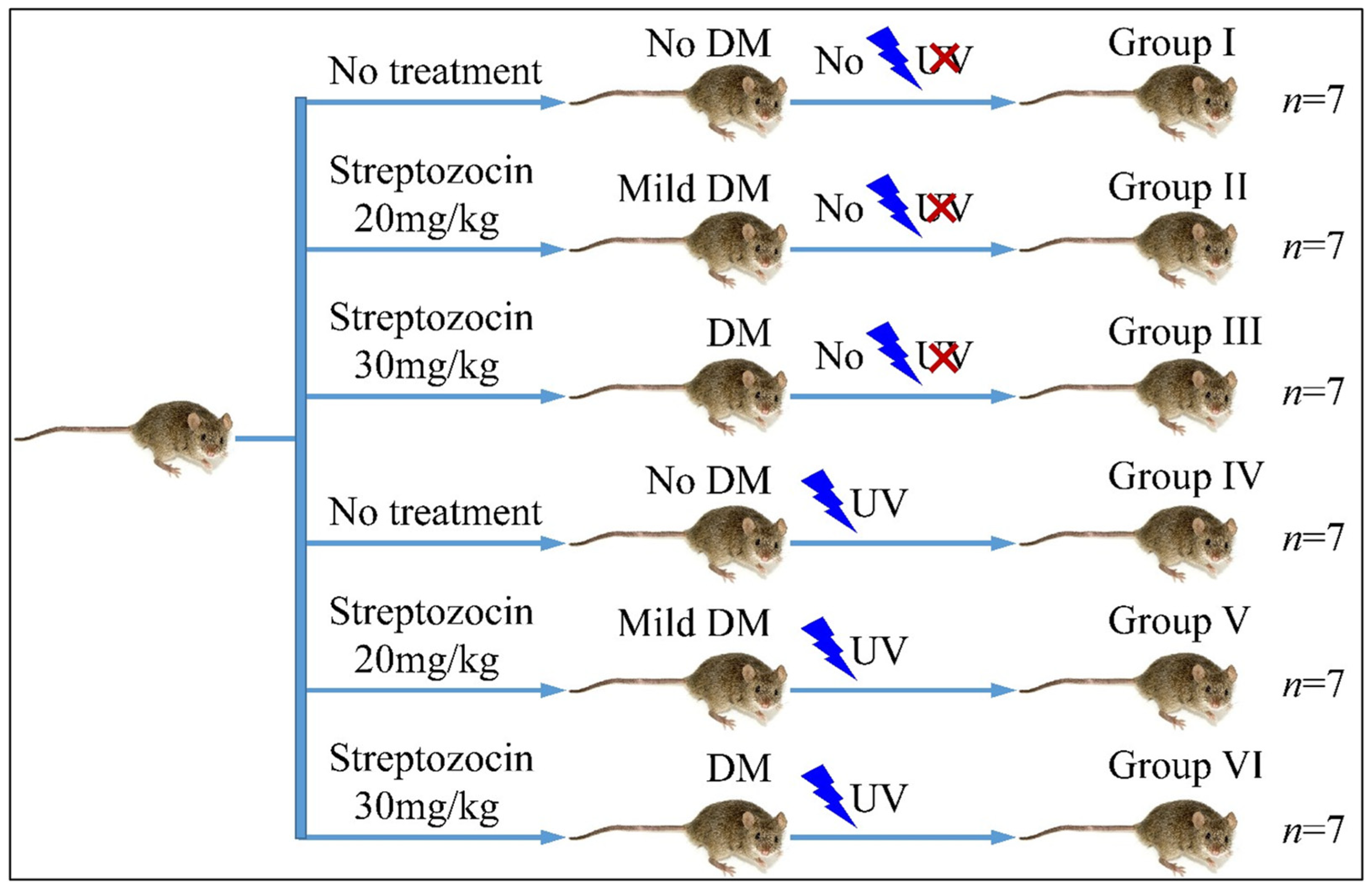 Cancers 16 01507 g001