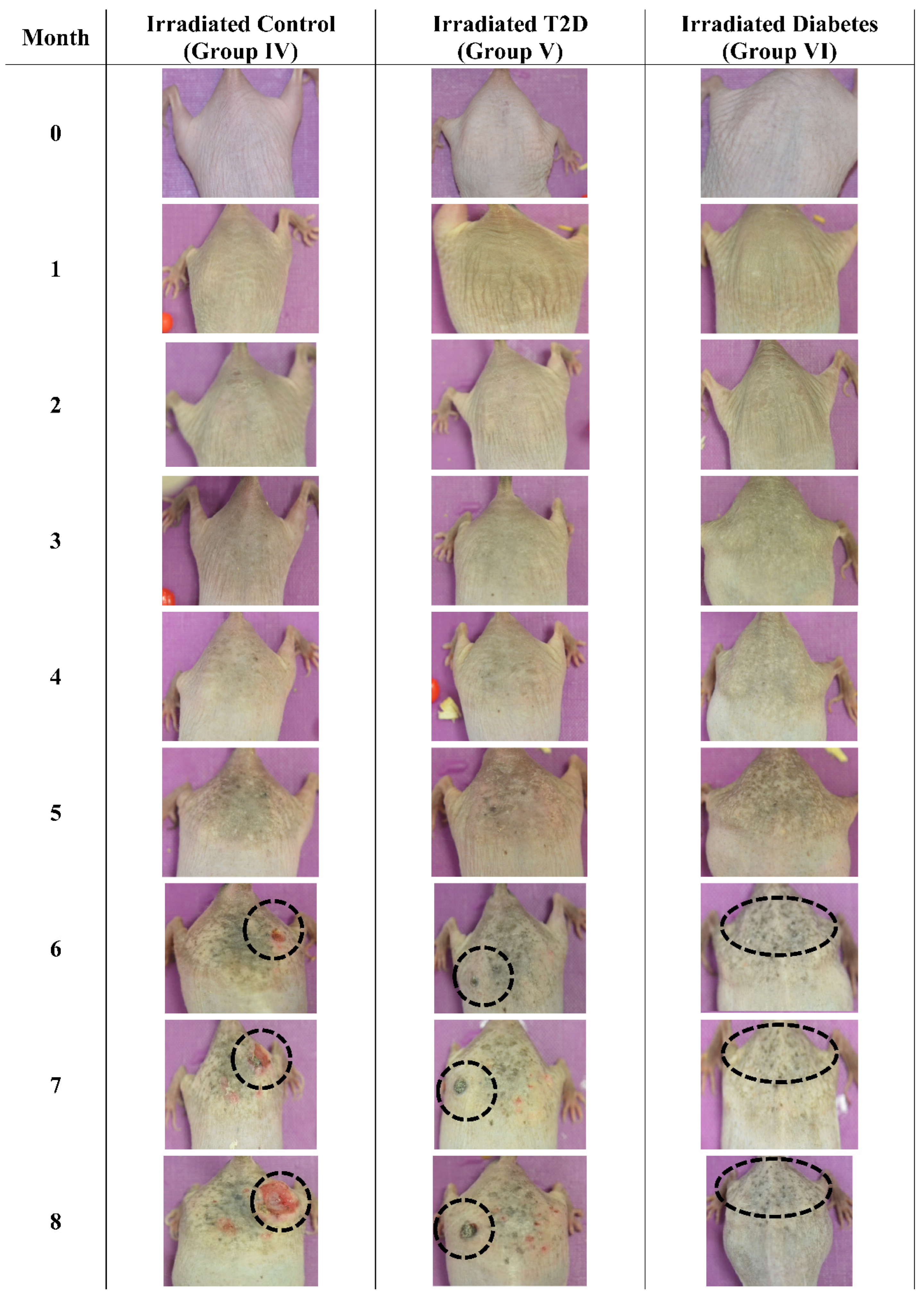 Cancers 16 01507 g014