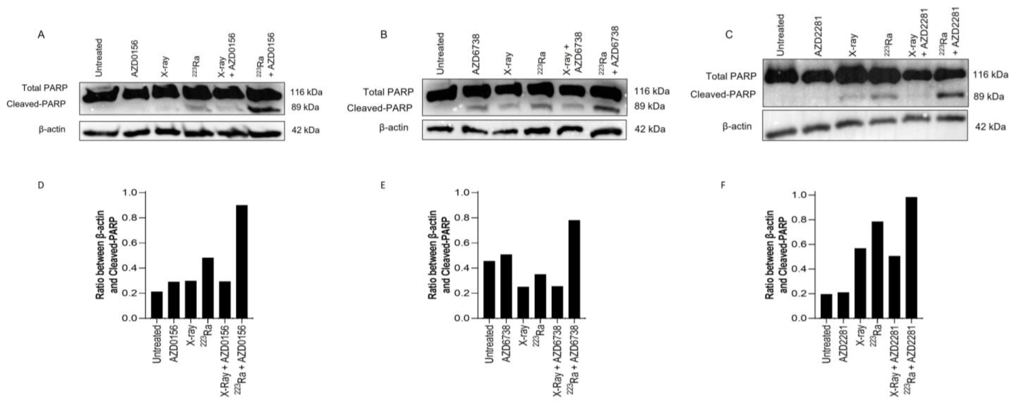 Cancers 16 01510 g005