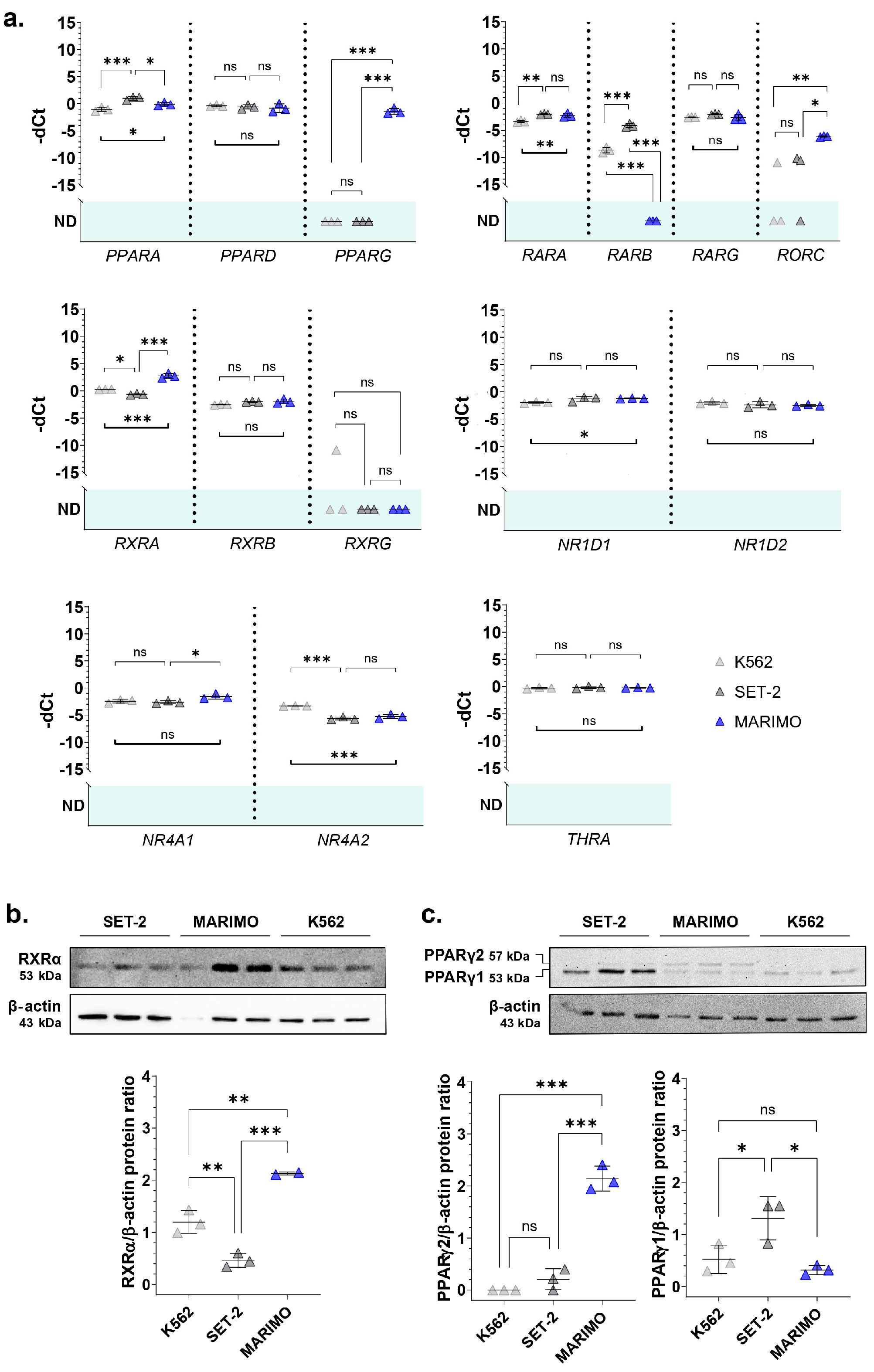 Cancers 16 01511 g001