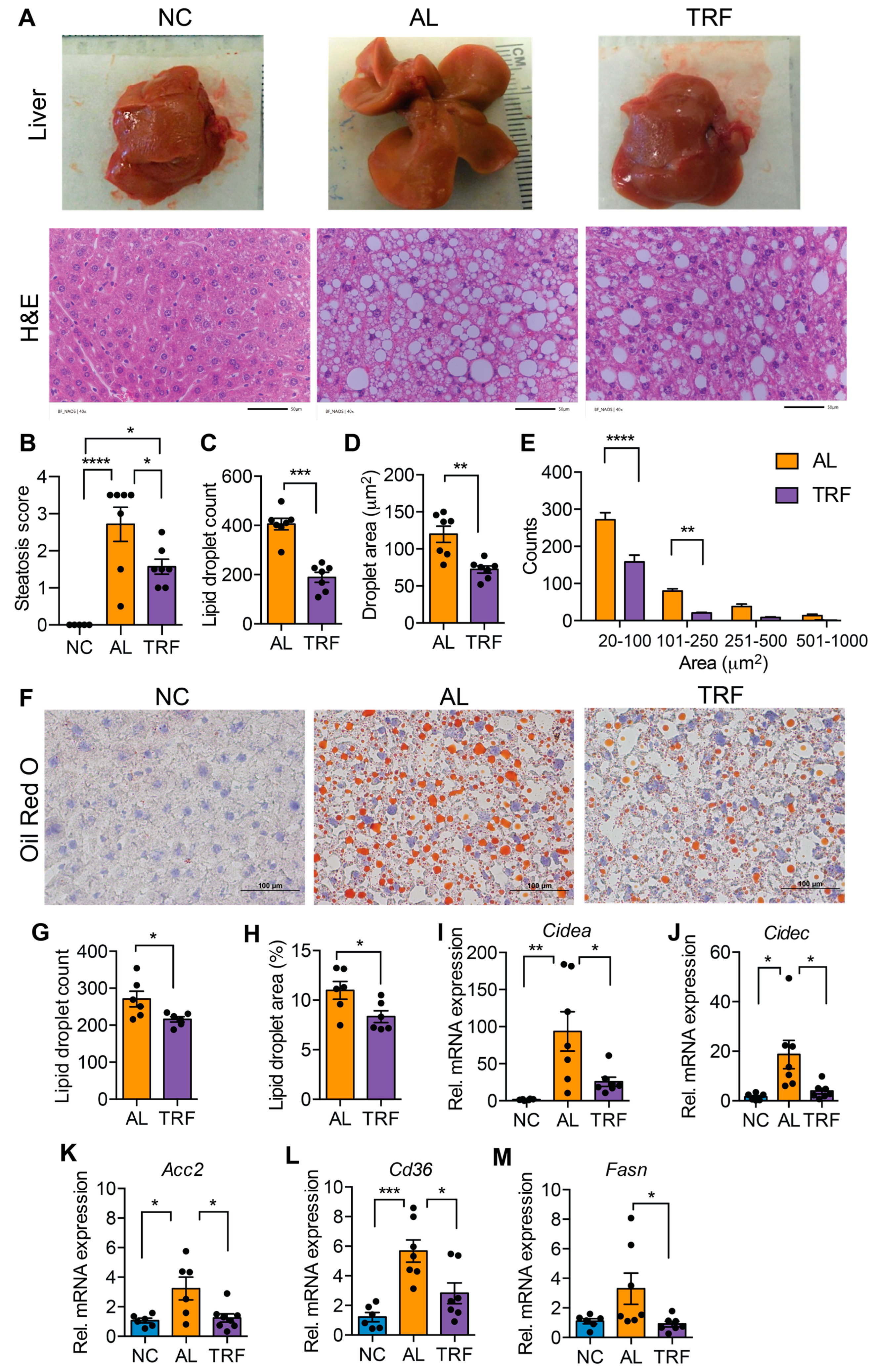 Cancers 16 01513 g002