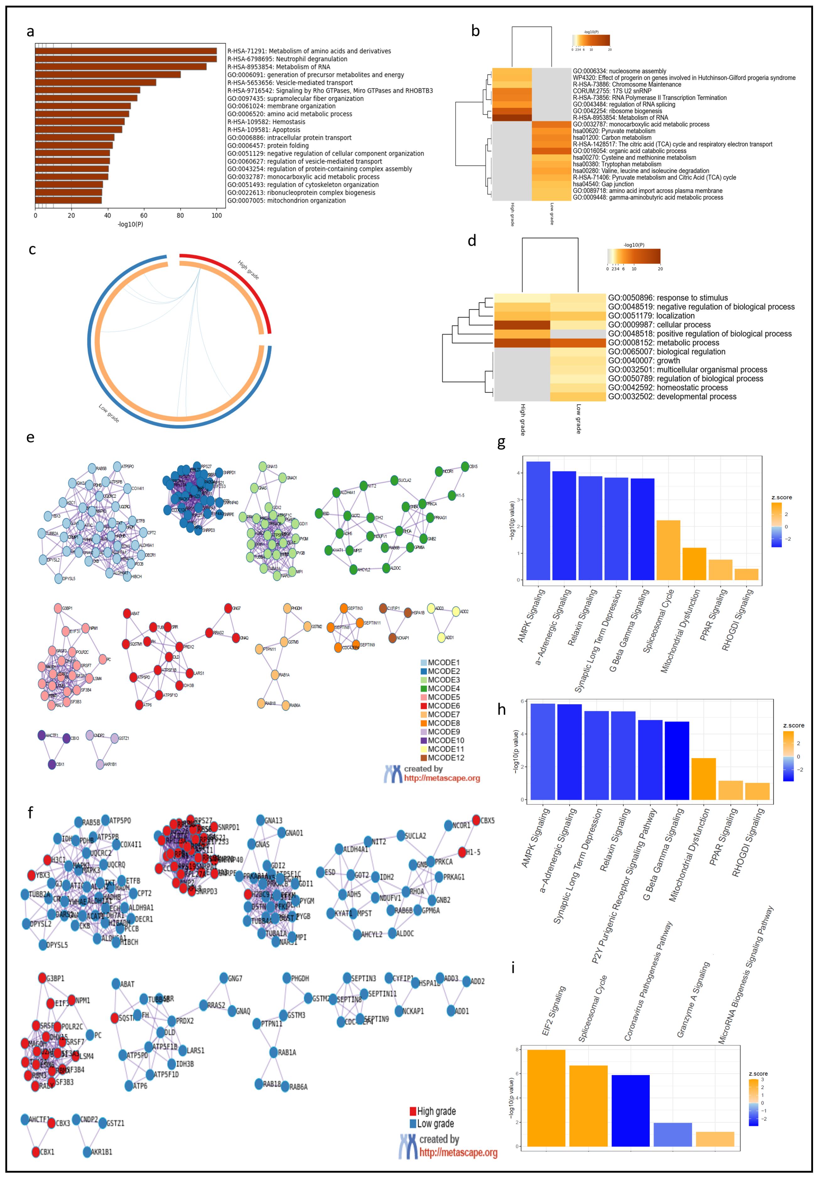 Cancers 16 01516 g002