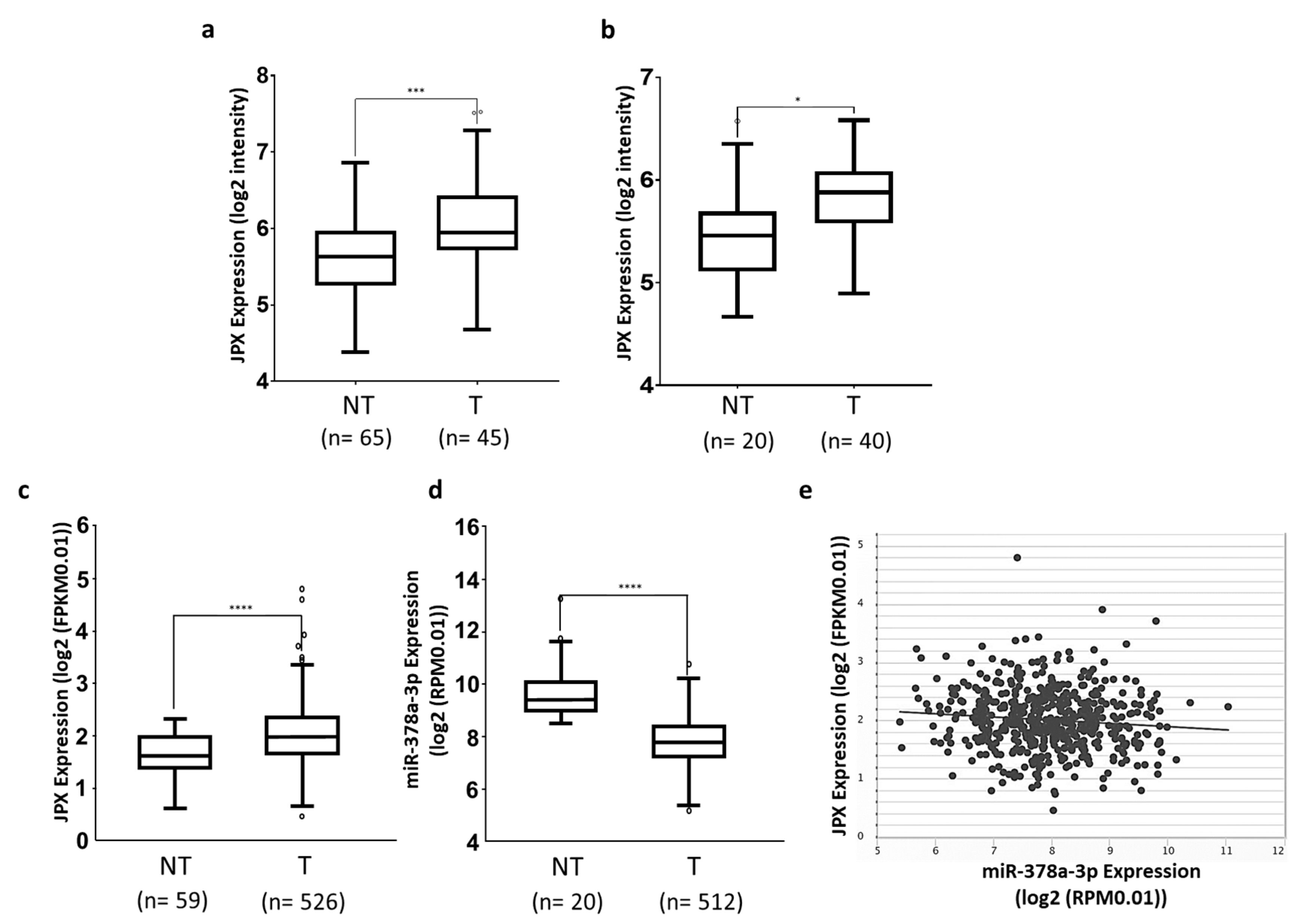Cancers 16 01526 g001