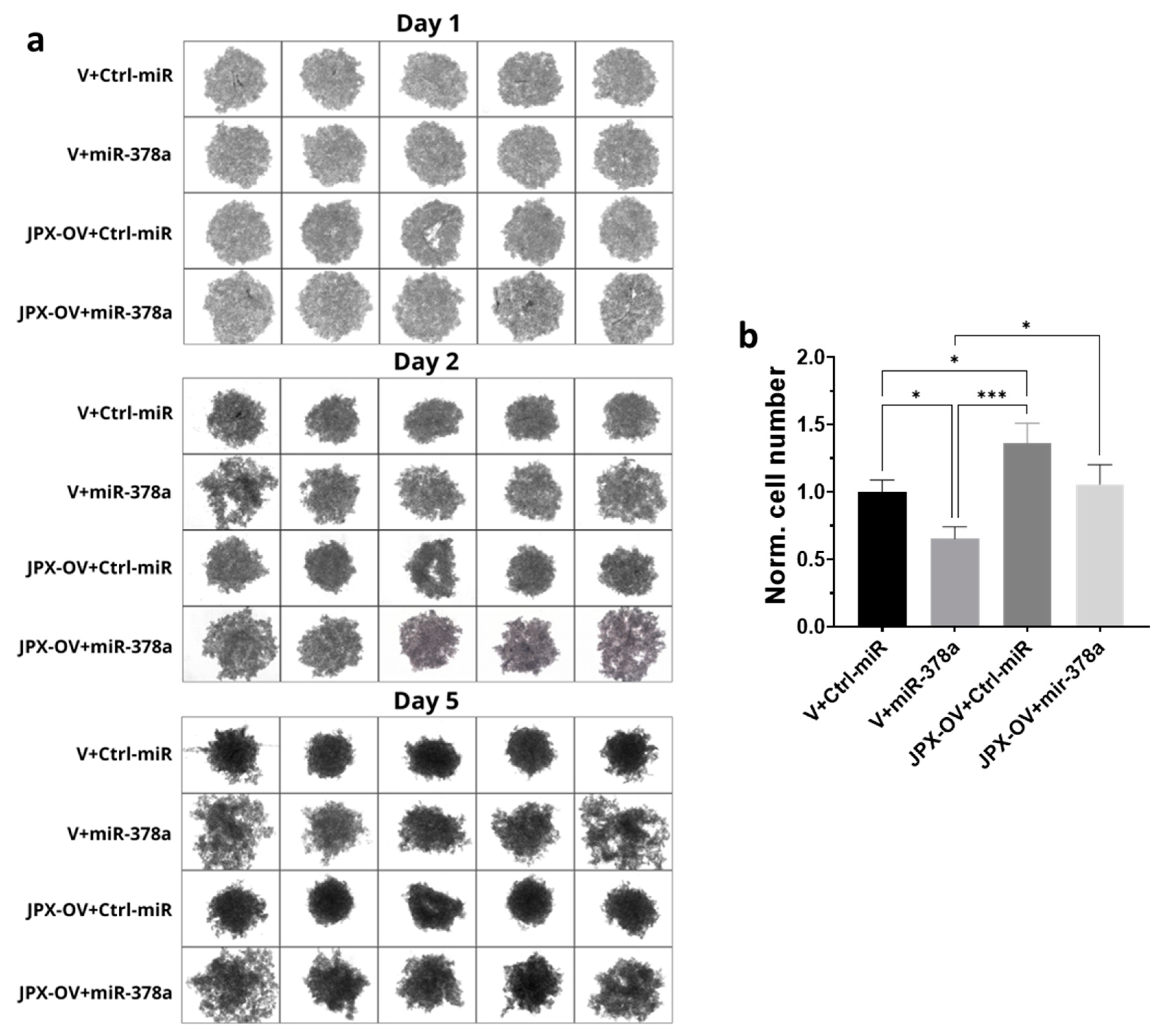Cancers 16 01526 g004