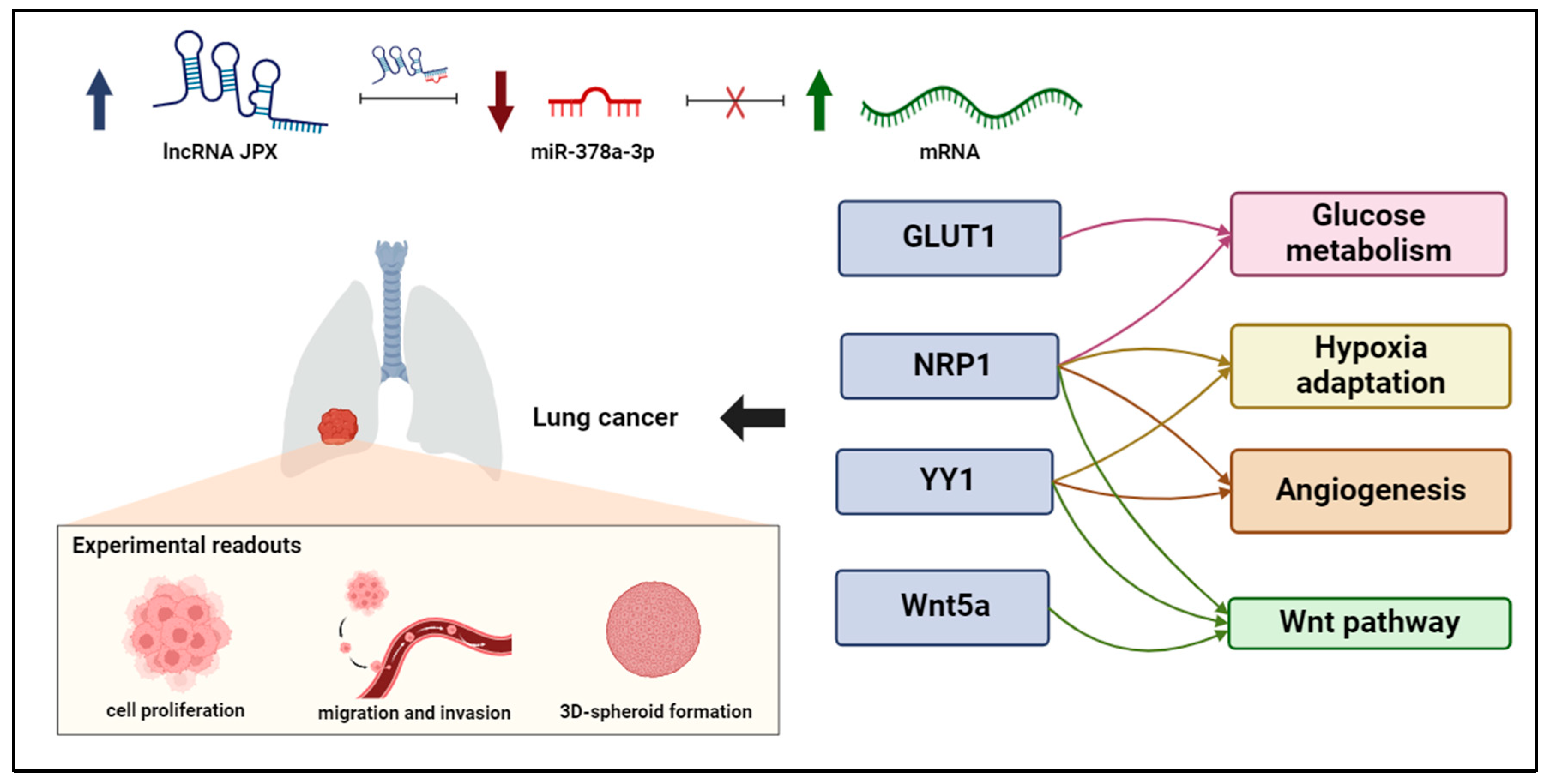Cancers 16 01526 g006