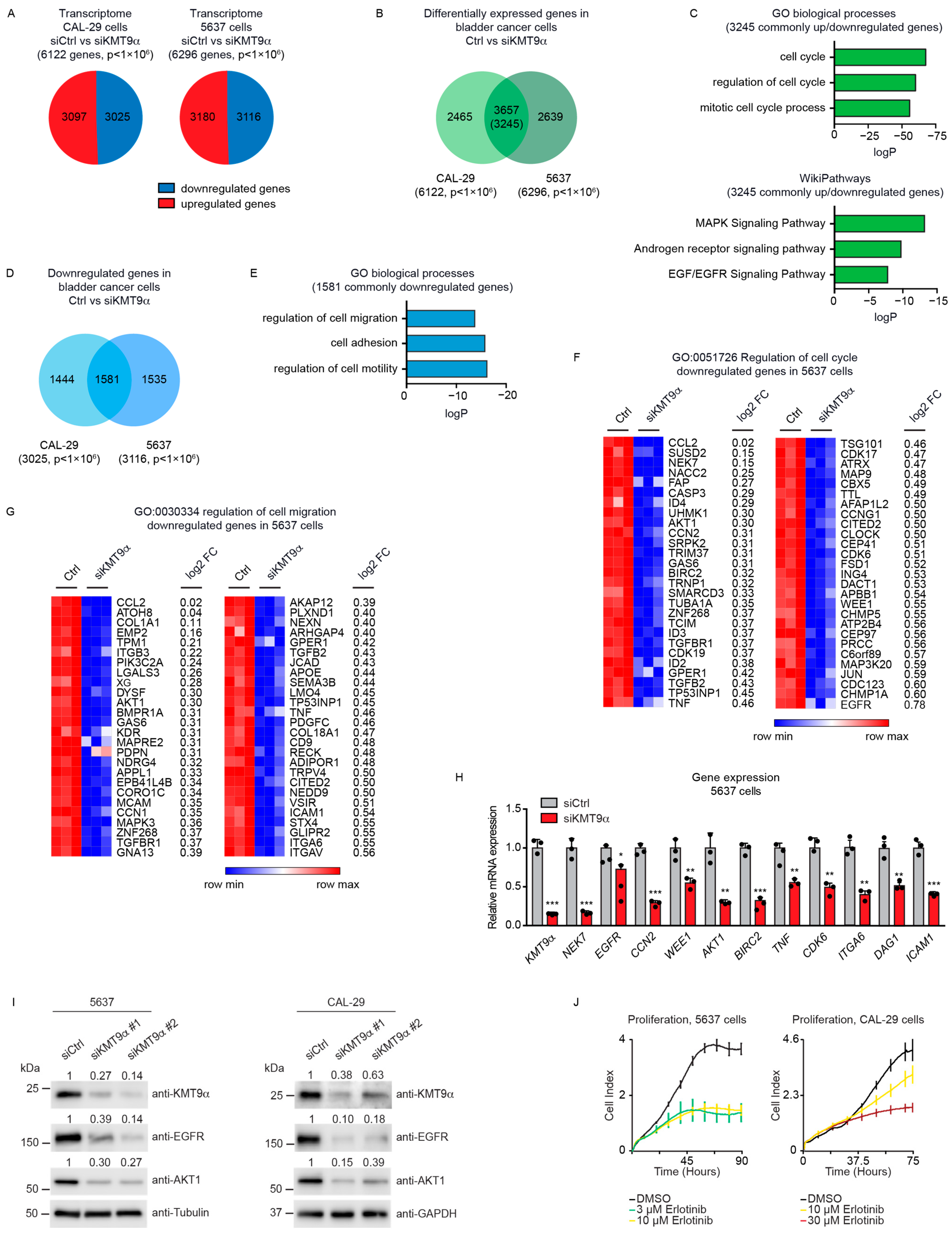 Cancers 16 01532 g002