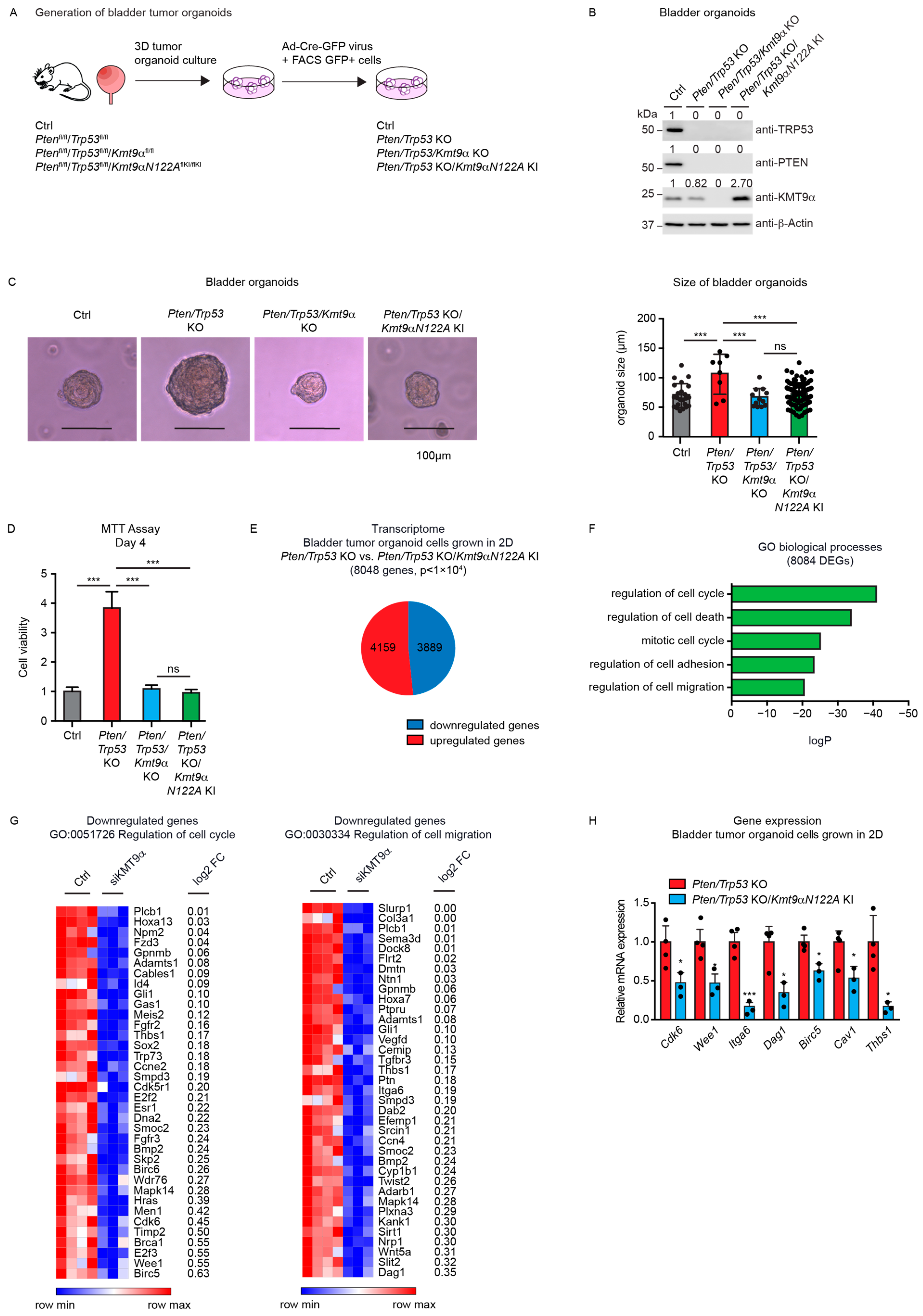 Cancers 16 01532 g003