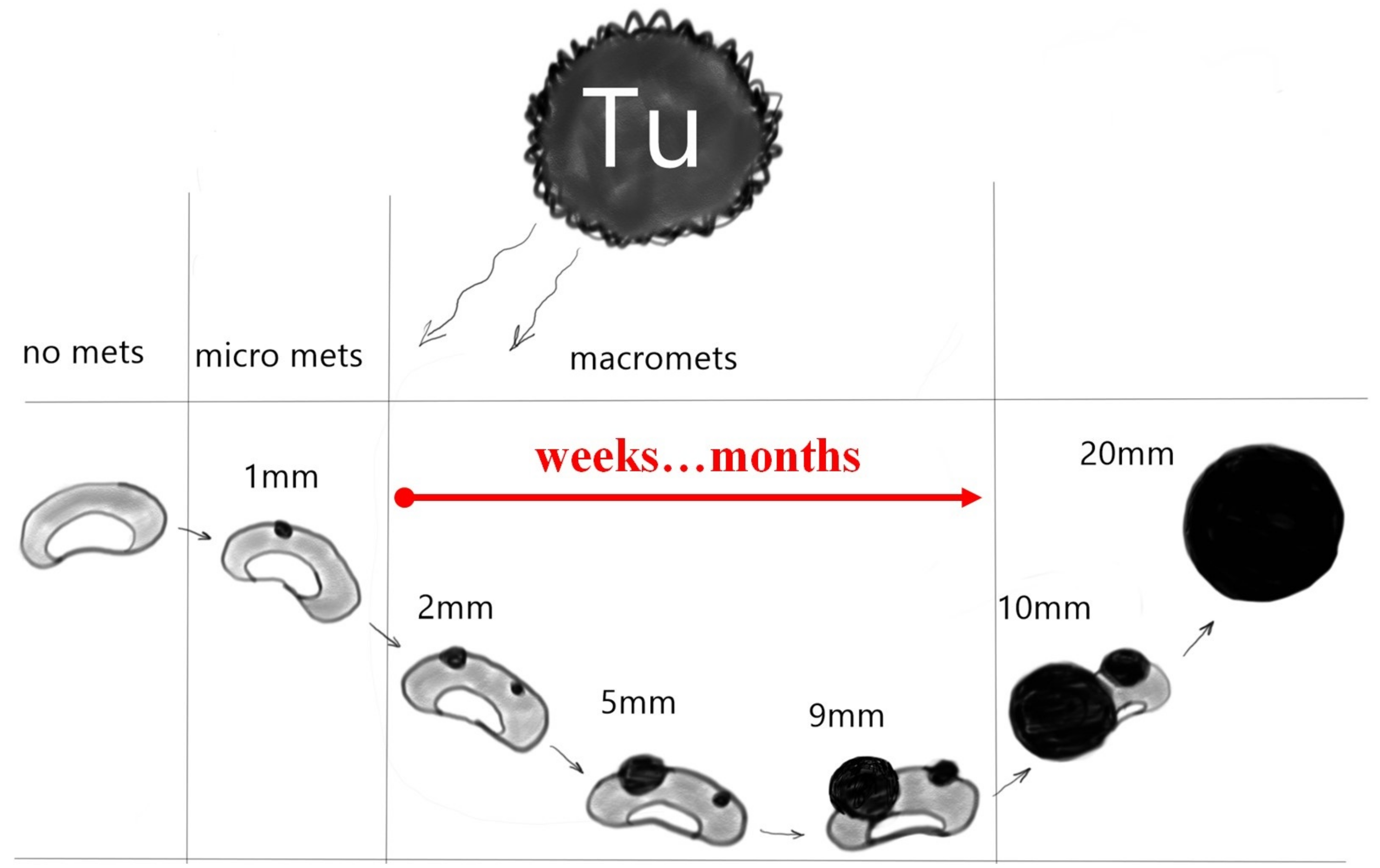Cancers 16 01564 g001