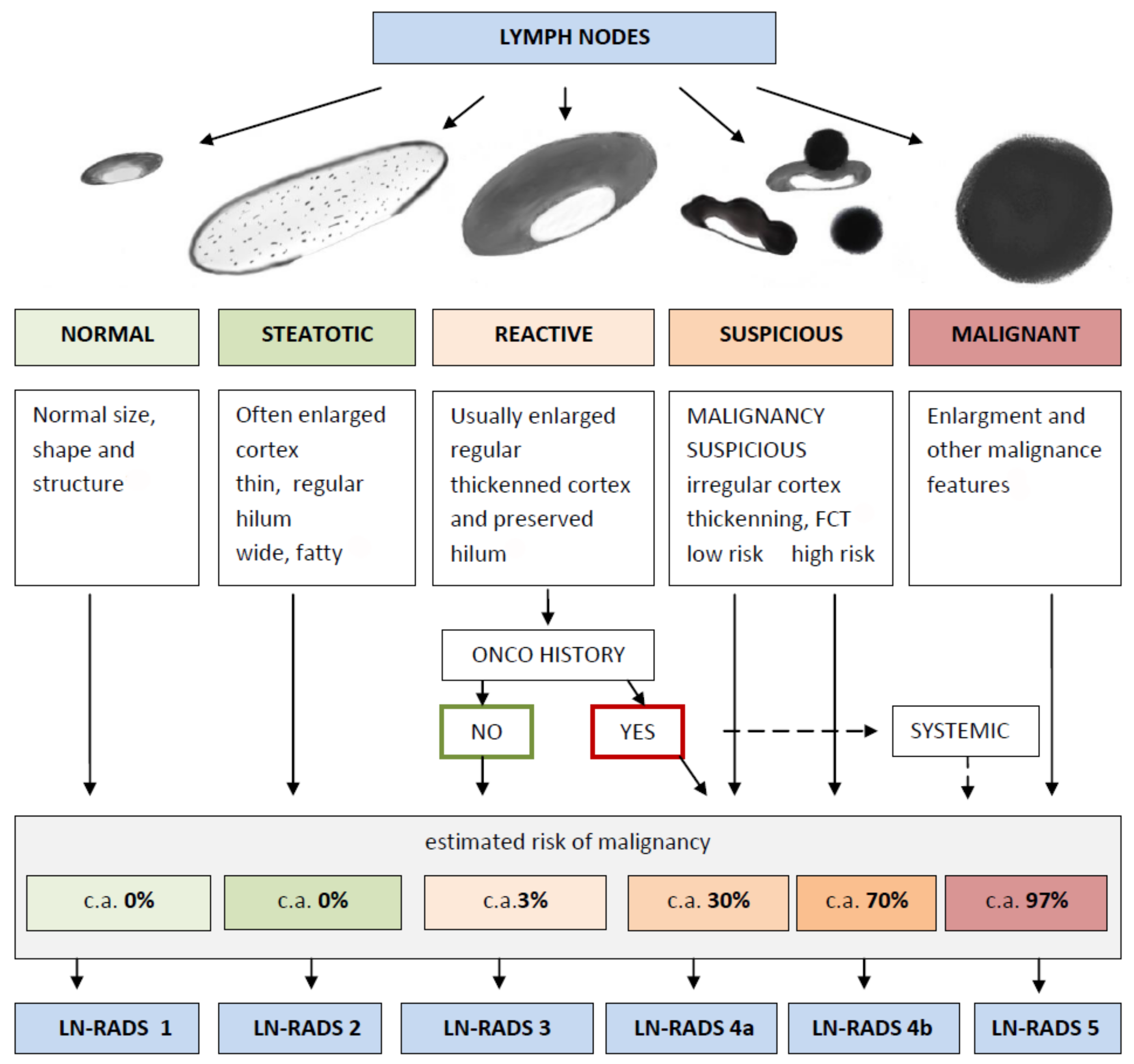 Cancers 16 01564 g003