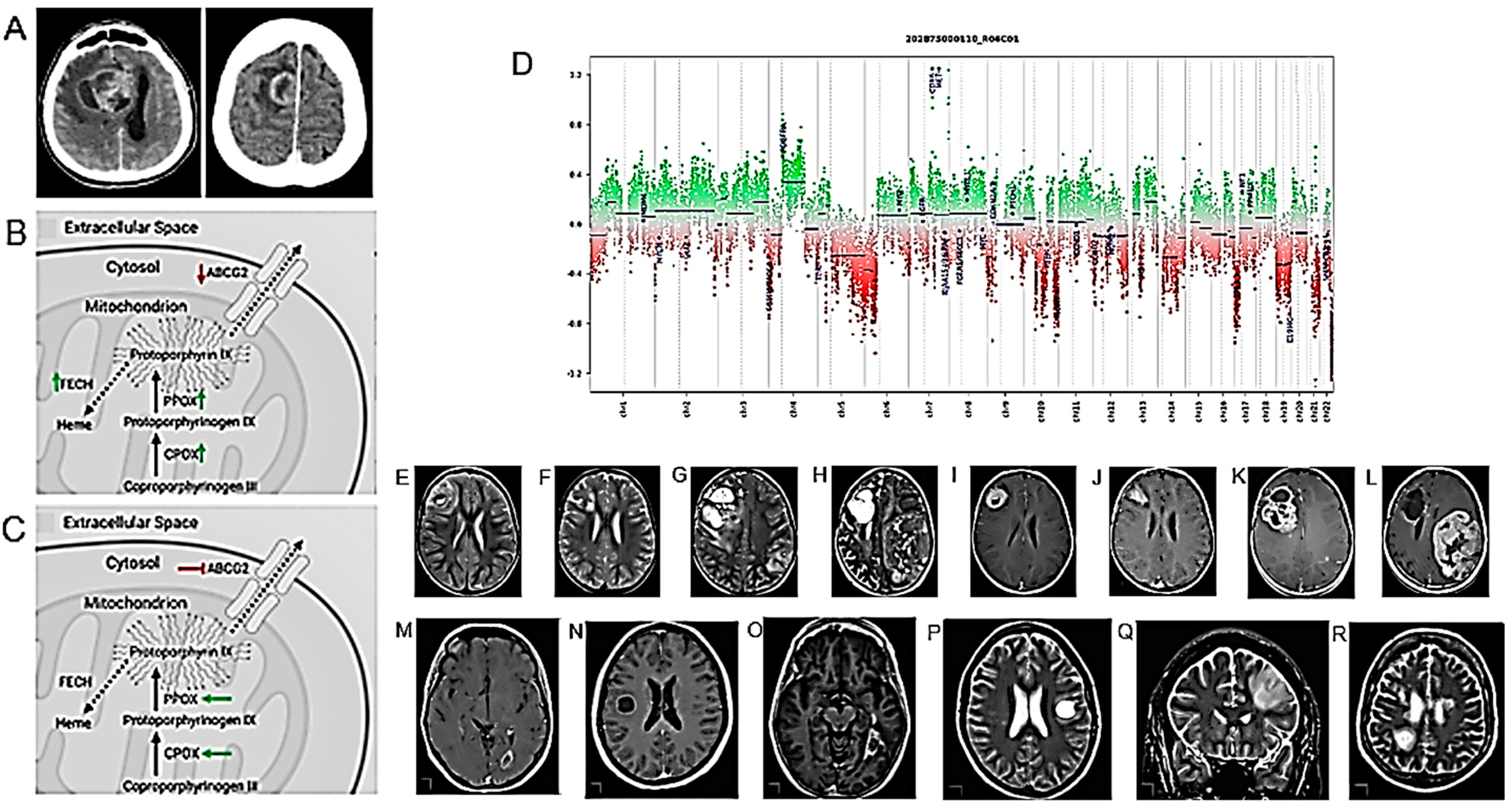 Cancers 16 01566 g009