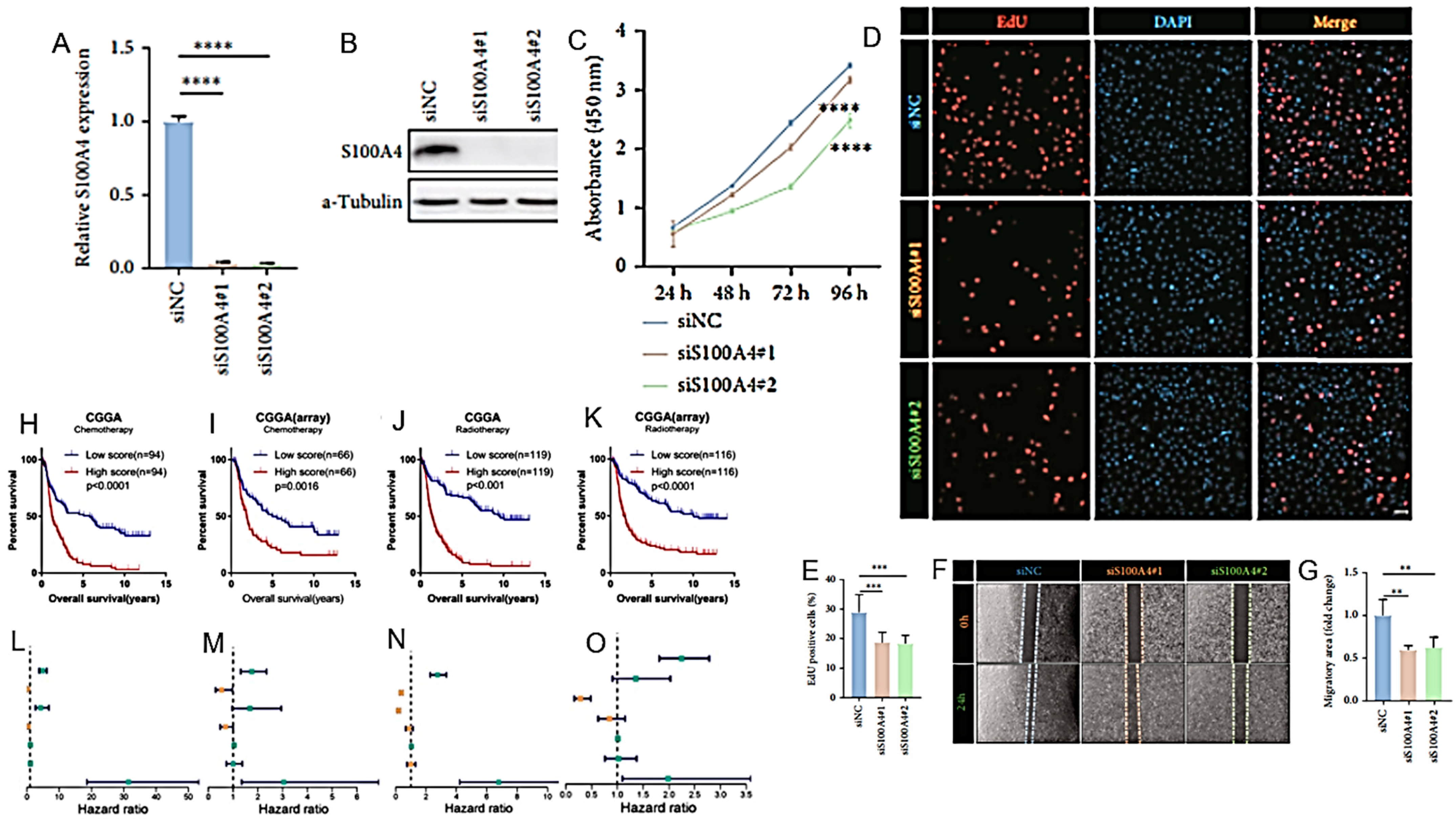 Cancers 16 01566 g011